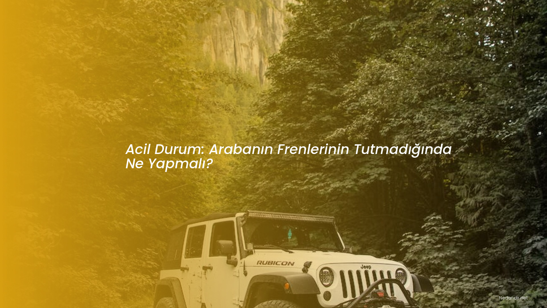Acil Durum: Arabanın Frenlerinin Tutmadığında Ne Yapmalı?