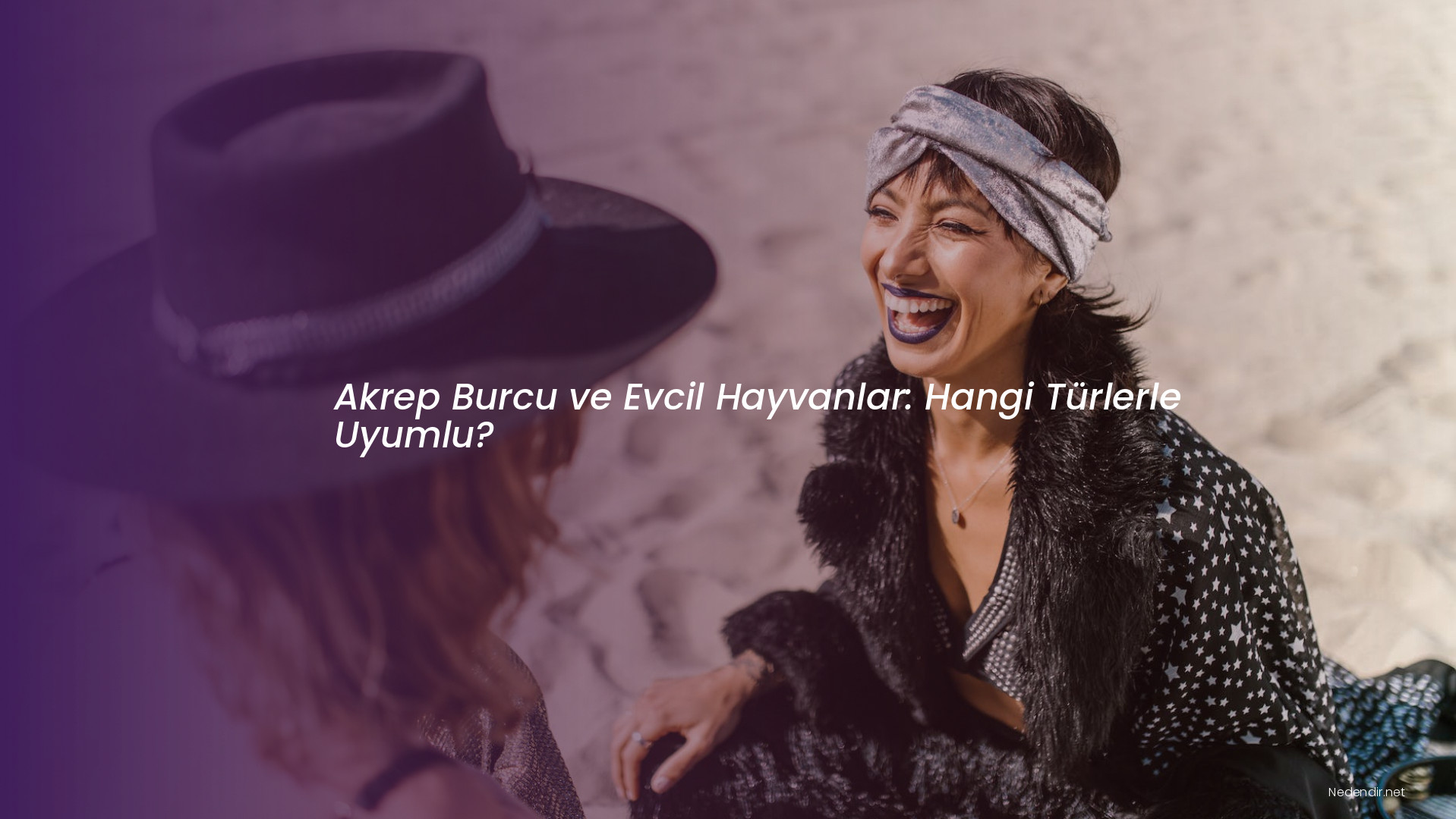 Akrep Burcu ve Evcil Hayvanlar: Hangi Türlerle Uyumlu?