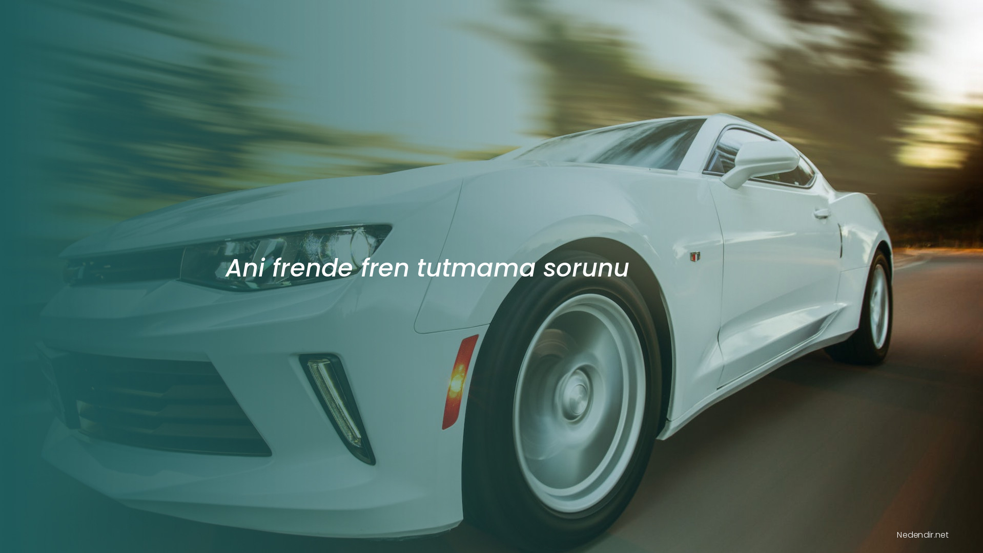 Ani frende fren tutmama sorunu