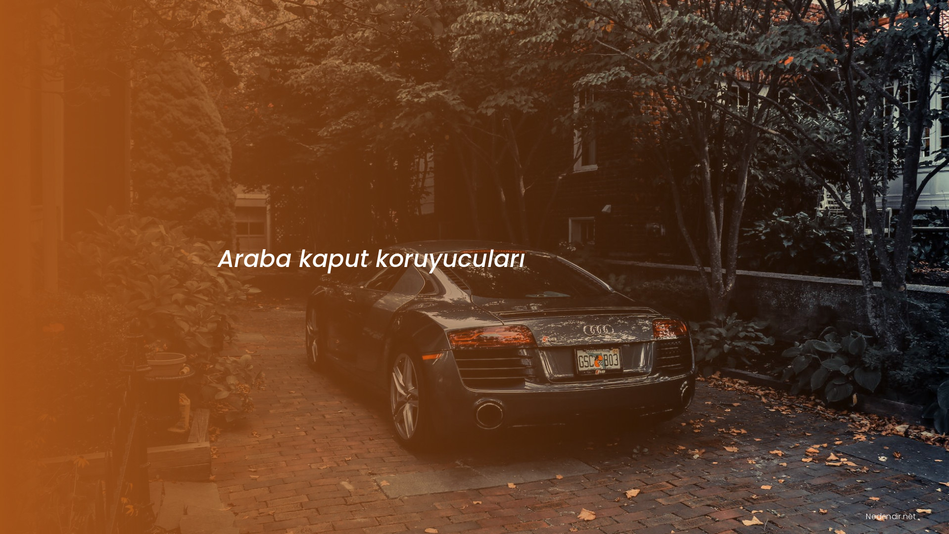 Araba kaput koruyucuları