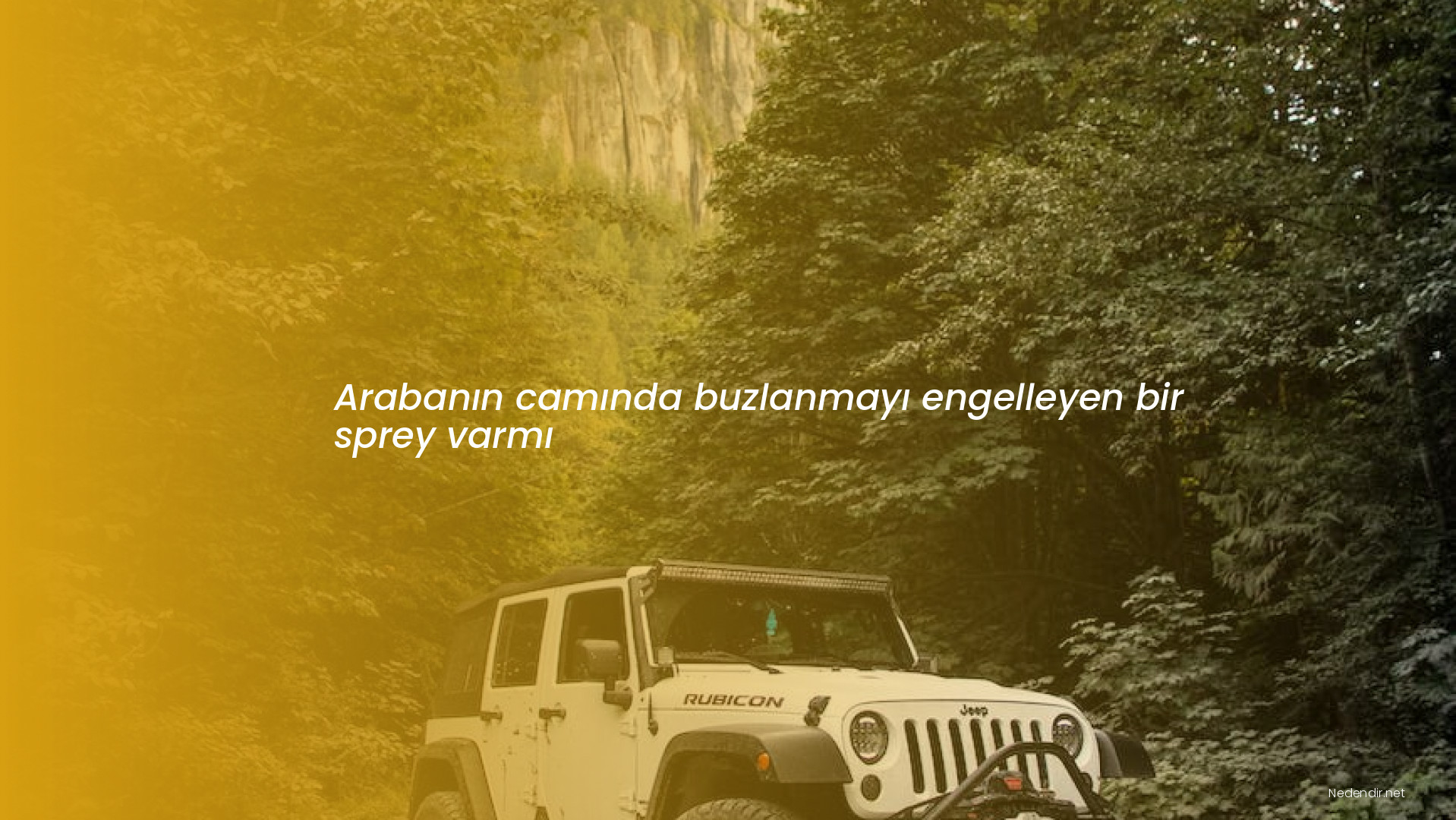Arabanın camında buzlanmayı engelleyen bir sprey varmı