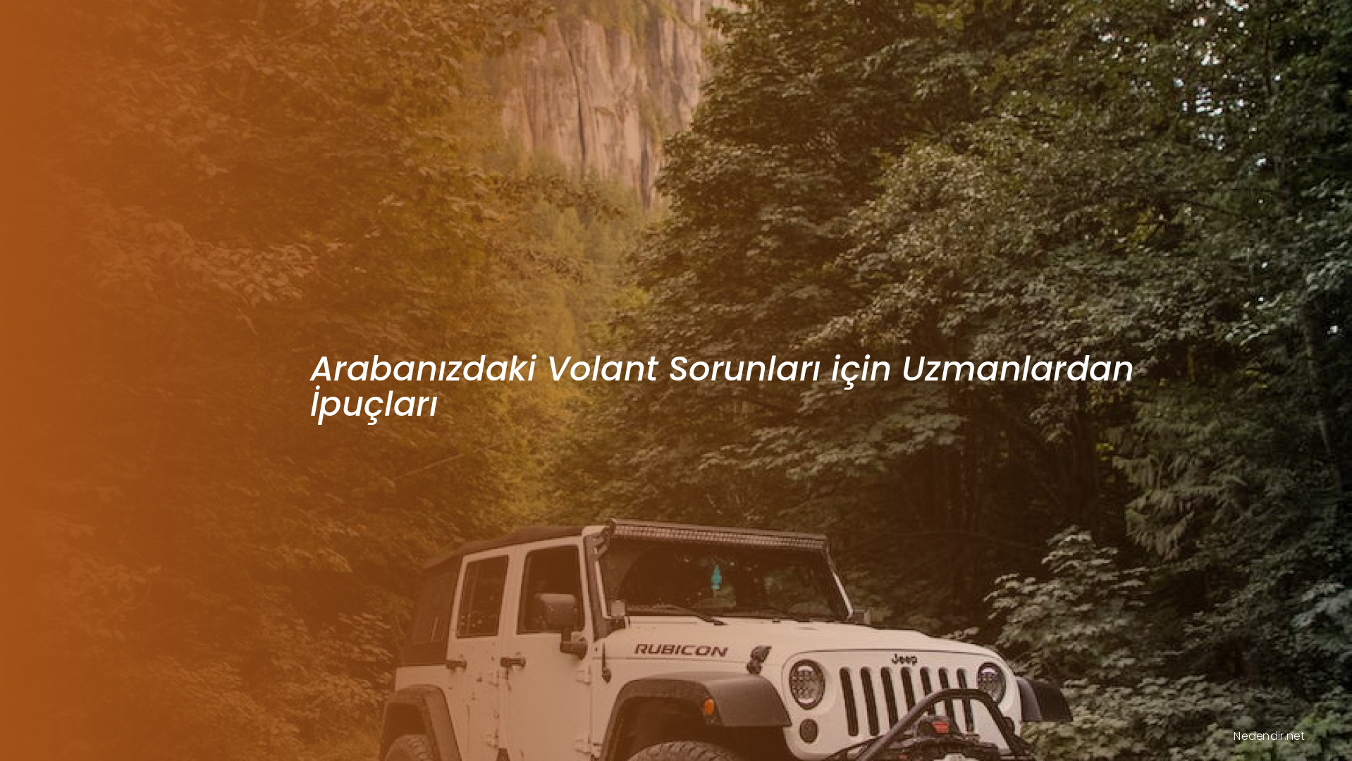 Arabanızdaki Volant Sorunları için Uzmanlardan İpuçları