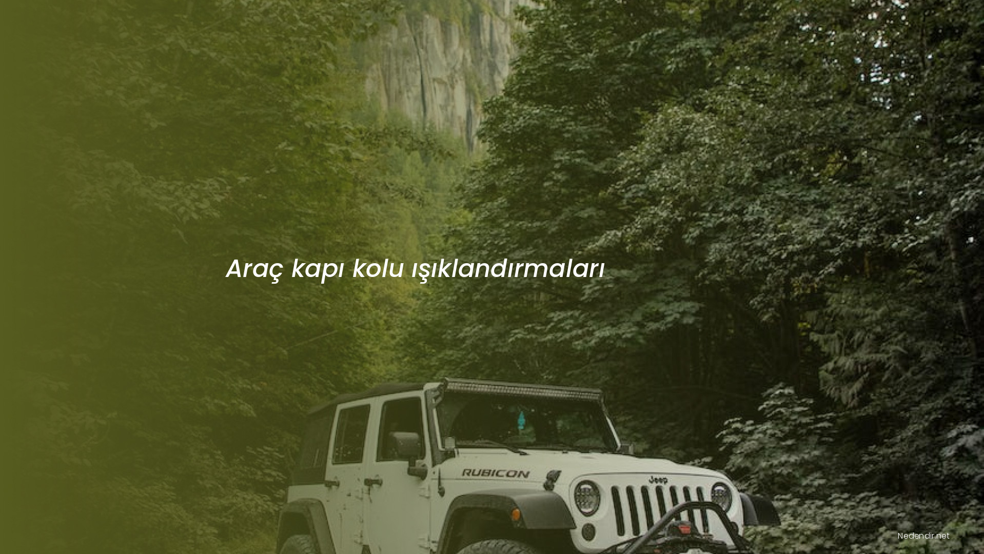 Araç kapı kolu ışıklandırmaları