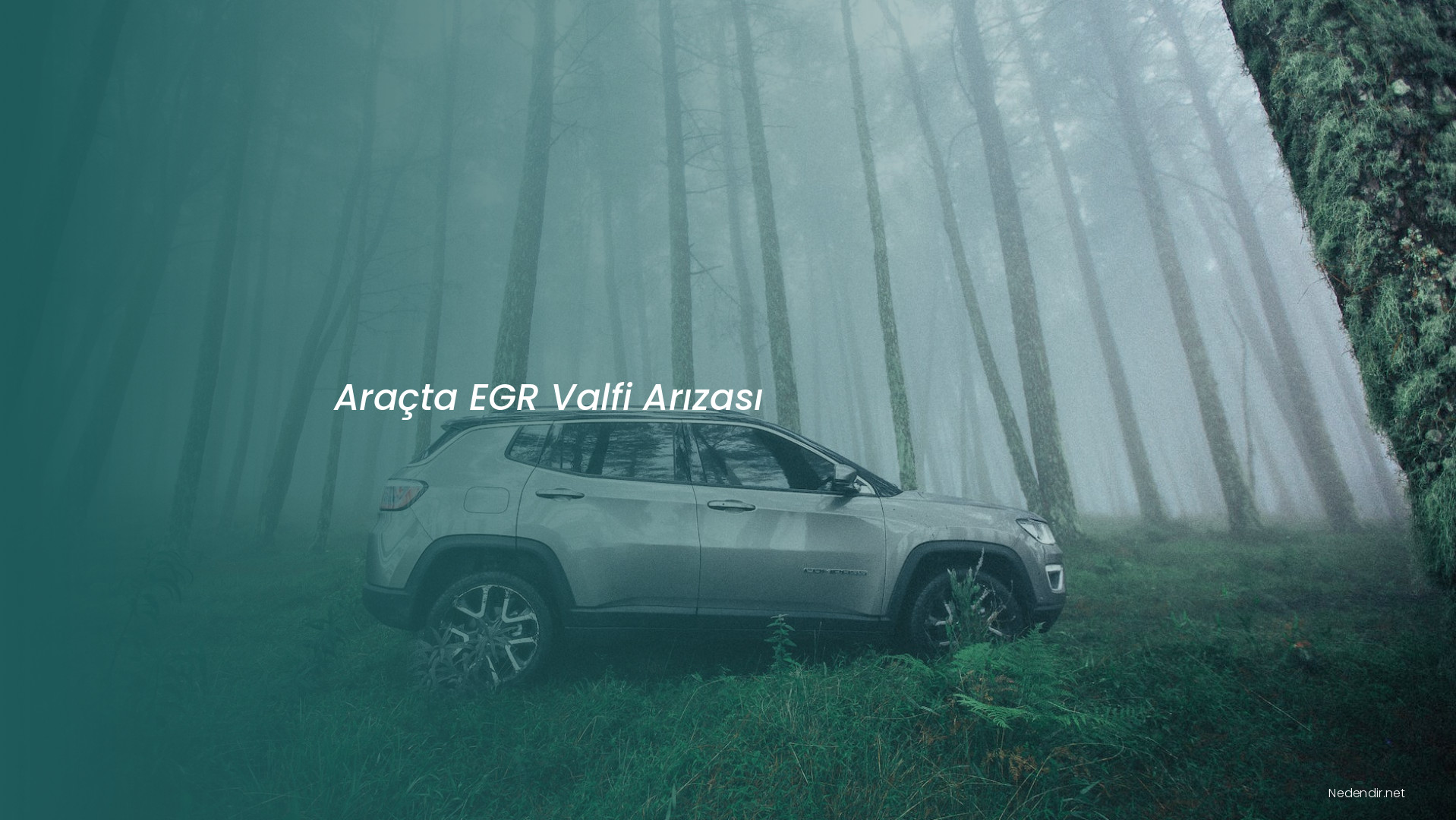 Araçta EGR Valfi Arızası