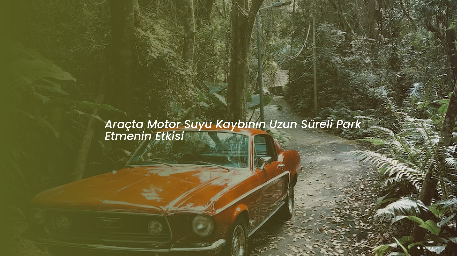 Araçta Motor Suyu Kaybının Uzun Süreli Park Etmenin Etkisi