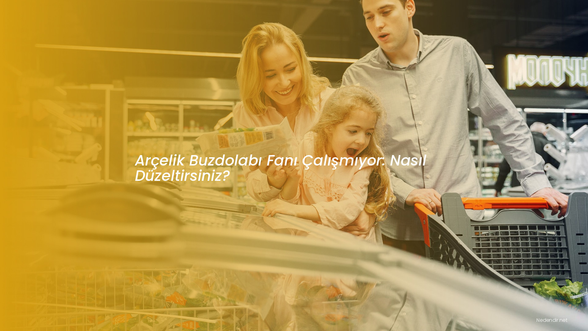 Arçelik Buzdolabı Fanı Çalışmıyor: Nasıl Düzeltirsiniz?
