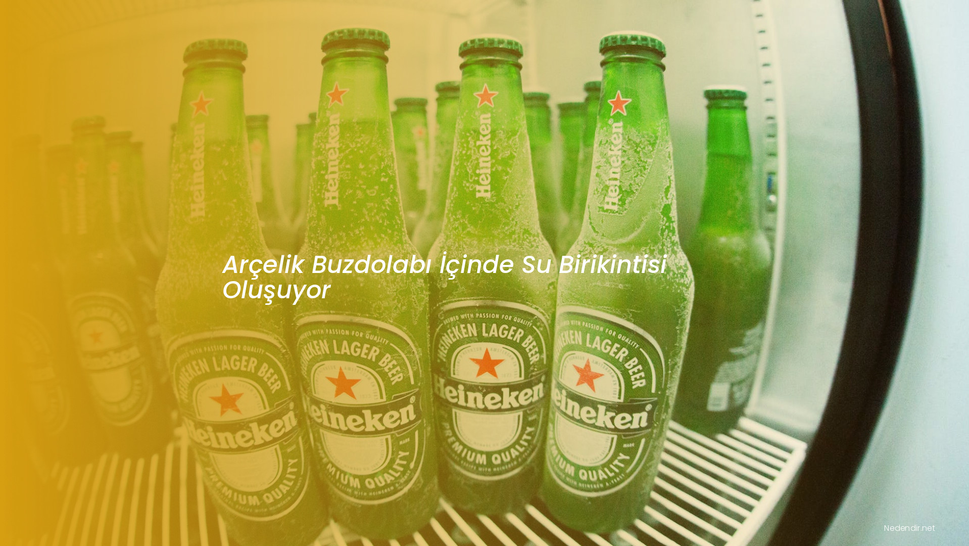 Arçelik Buzdolabı İçinde Su Birikintisi Oluşuyor