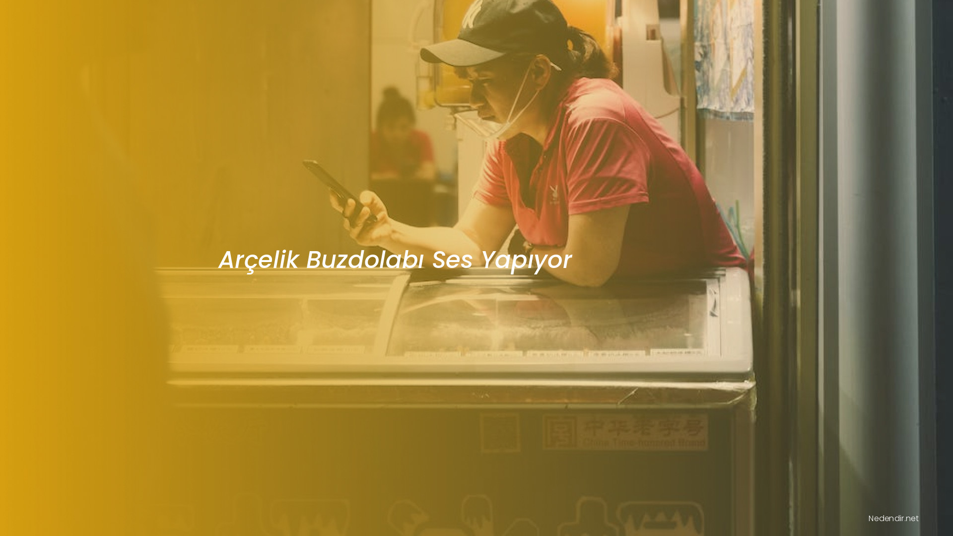 Arçelik Buzdolabı Ses Yapıyor