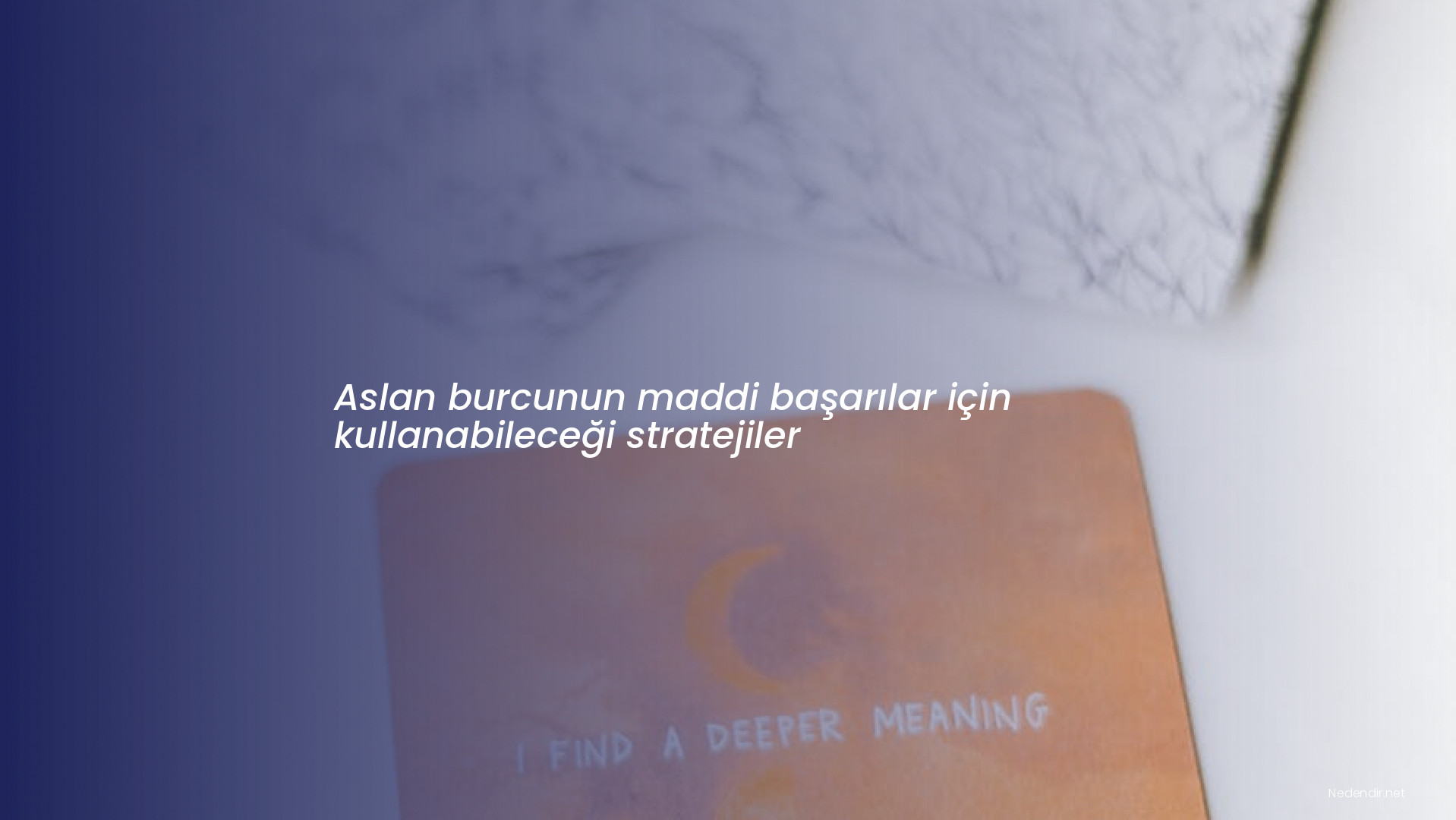 Aslan burcunun maddi başarılar için kullanabileceği stratejiler