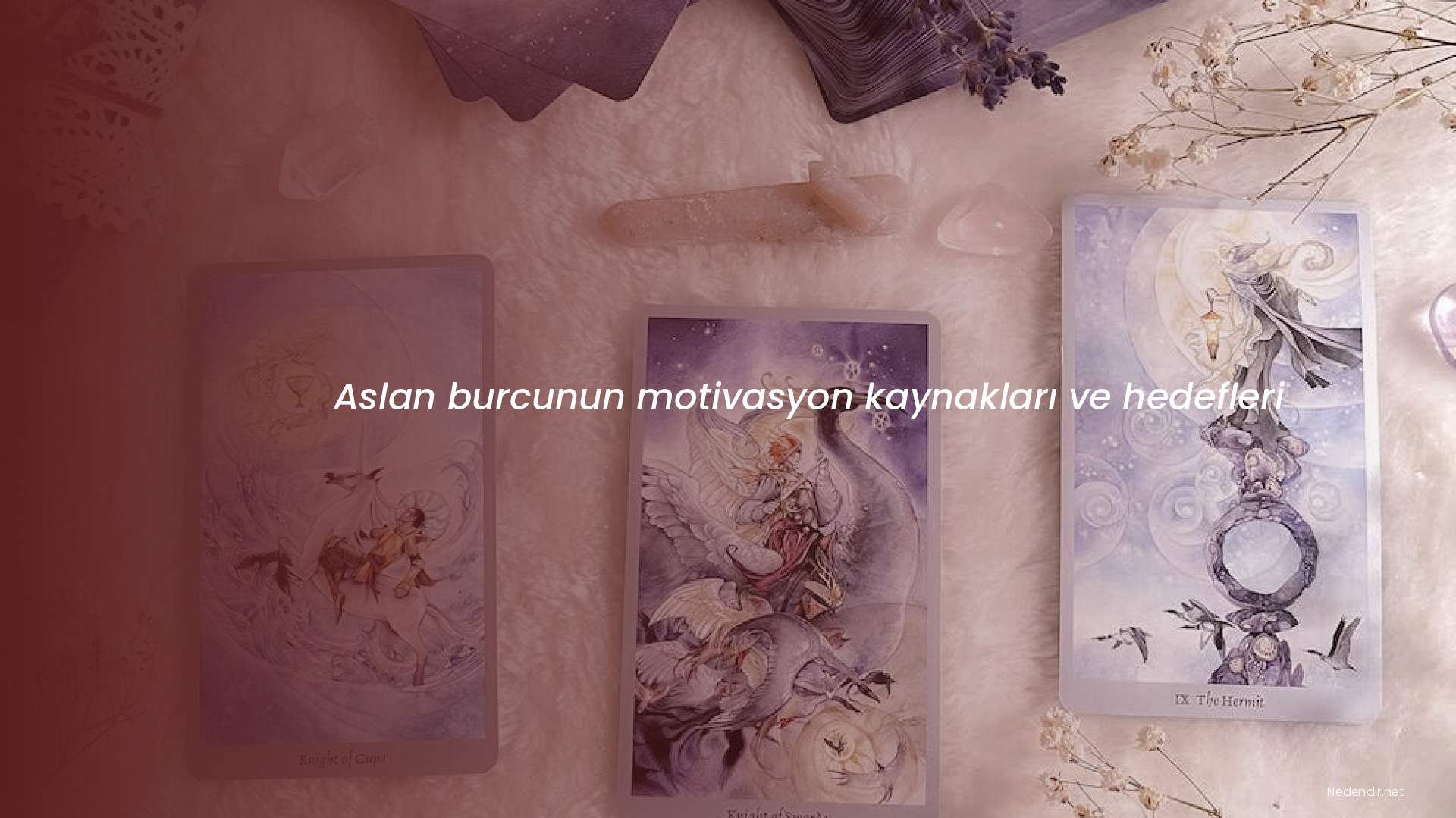 Aslan burcunun motivasyon kaynakları ve hedefleri