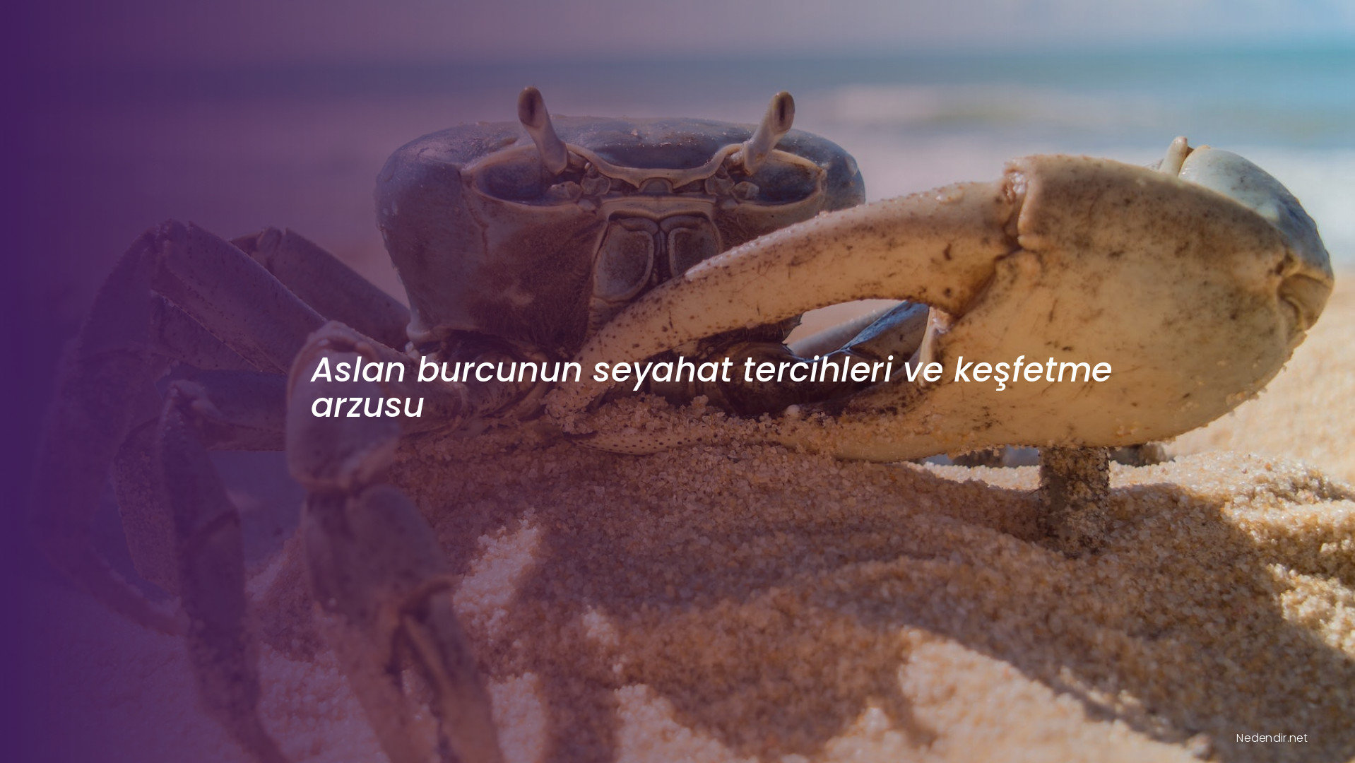 Aslan burcunun seyahat tercihleri ve keşfetme arzusu