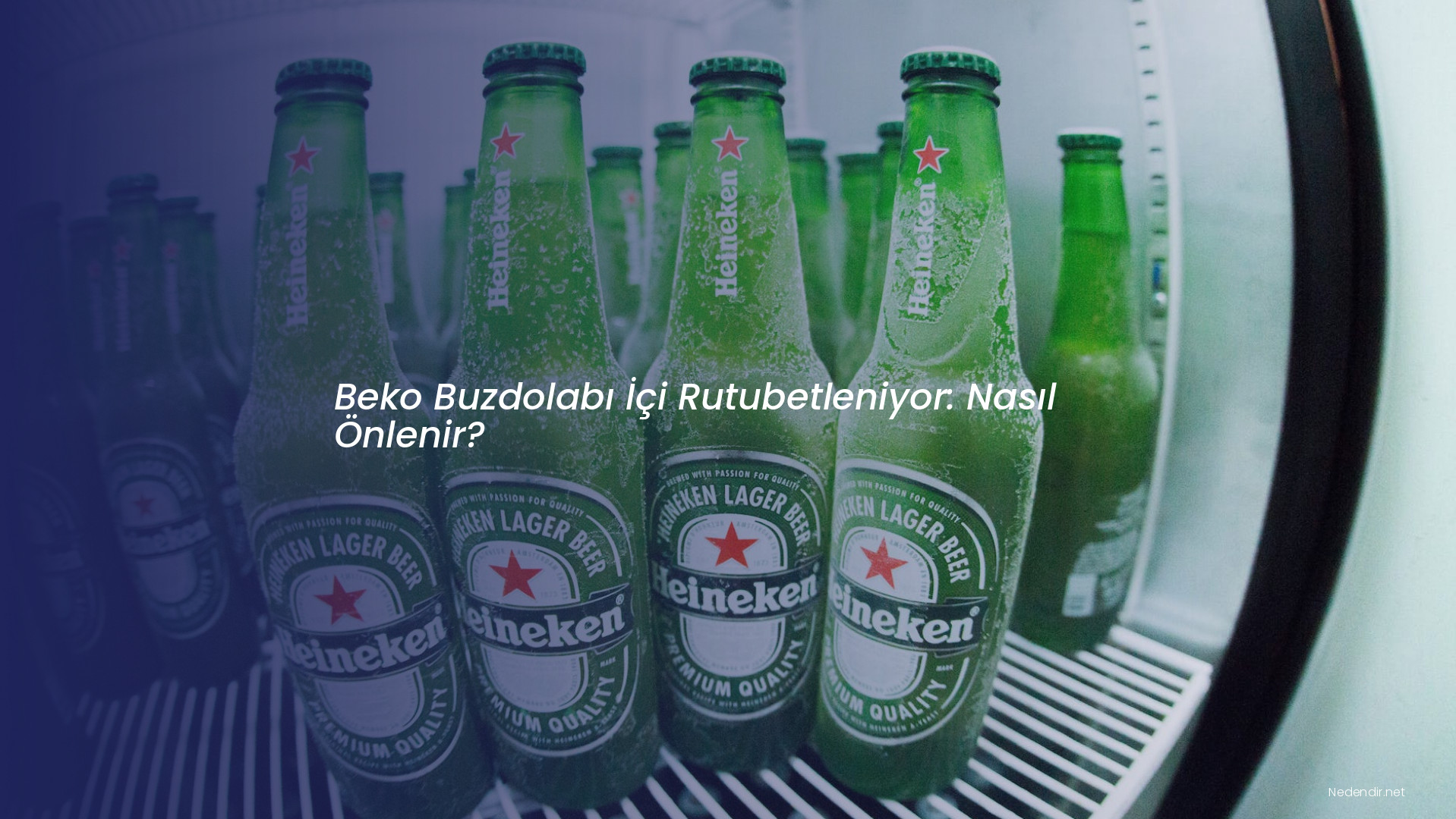 Beko Buzdolabı İçi Rutubetleniyor: Nasıl Önlenir?