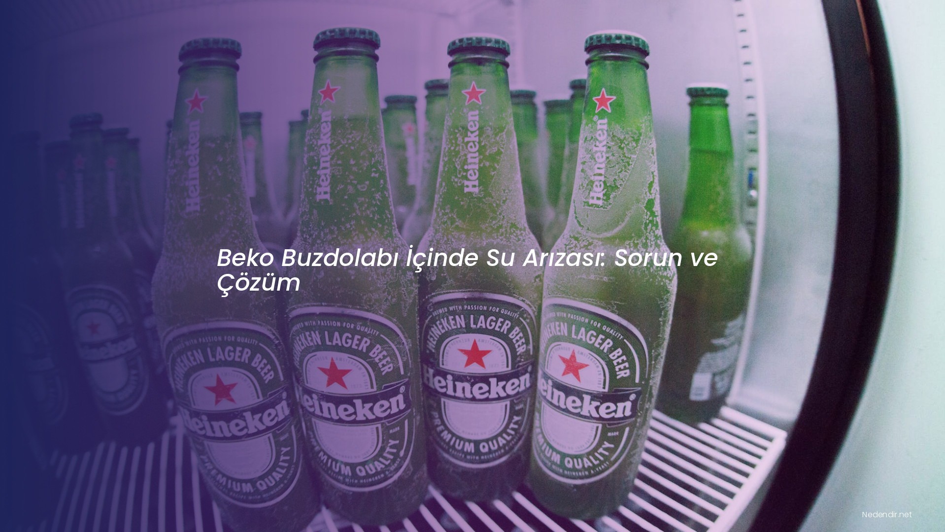 Beko Buzdolabı İçinde Su Arızası: Sorun ve Çözüm