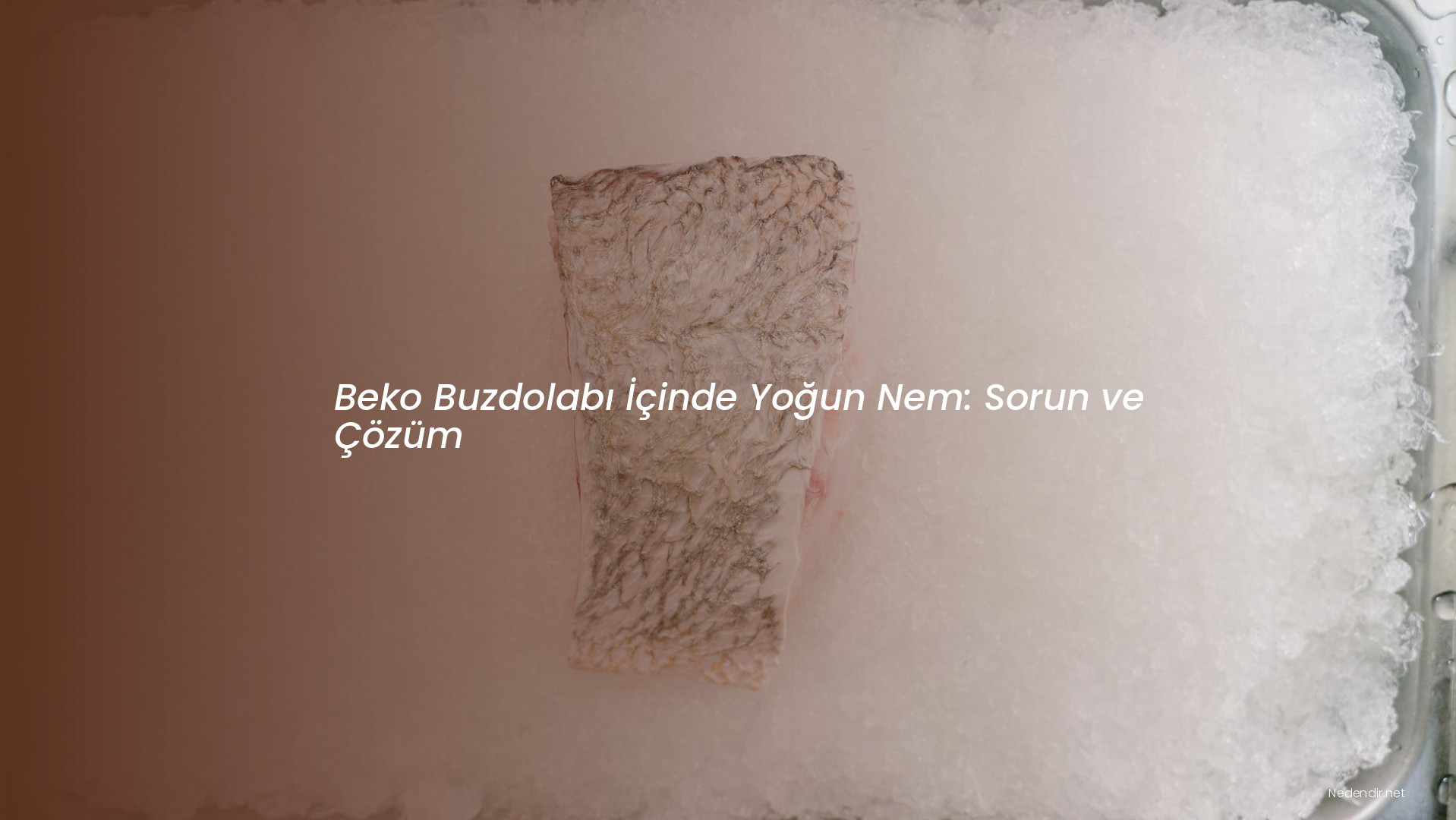 Beko Buzdolabı İçinde Yoğun Nem: Sorun ve Çözüm