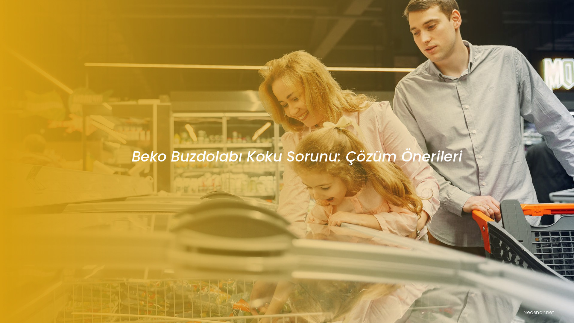 Beko Buzdolabı Koku Sorunu: Çözüm Önerileri