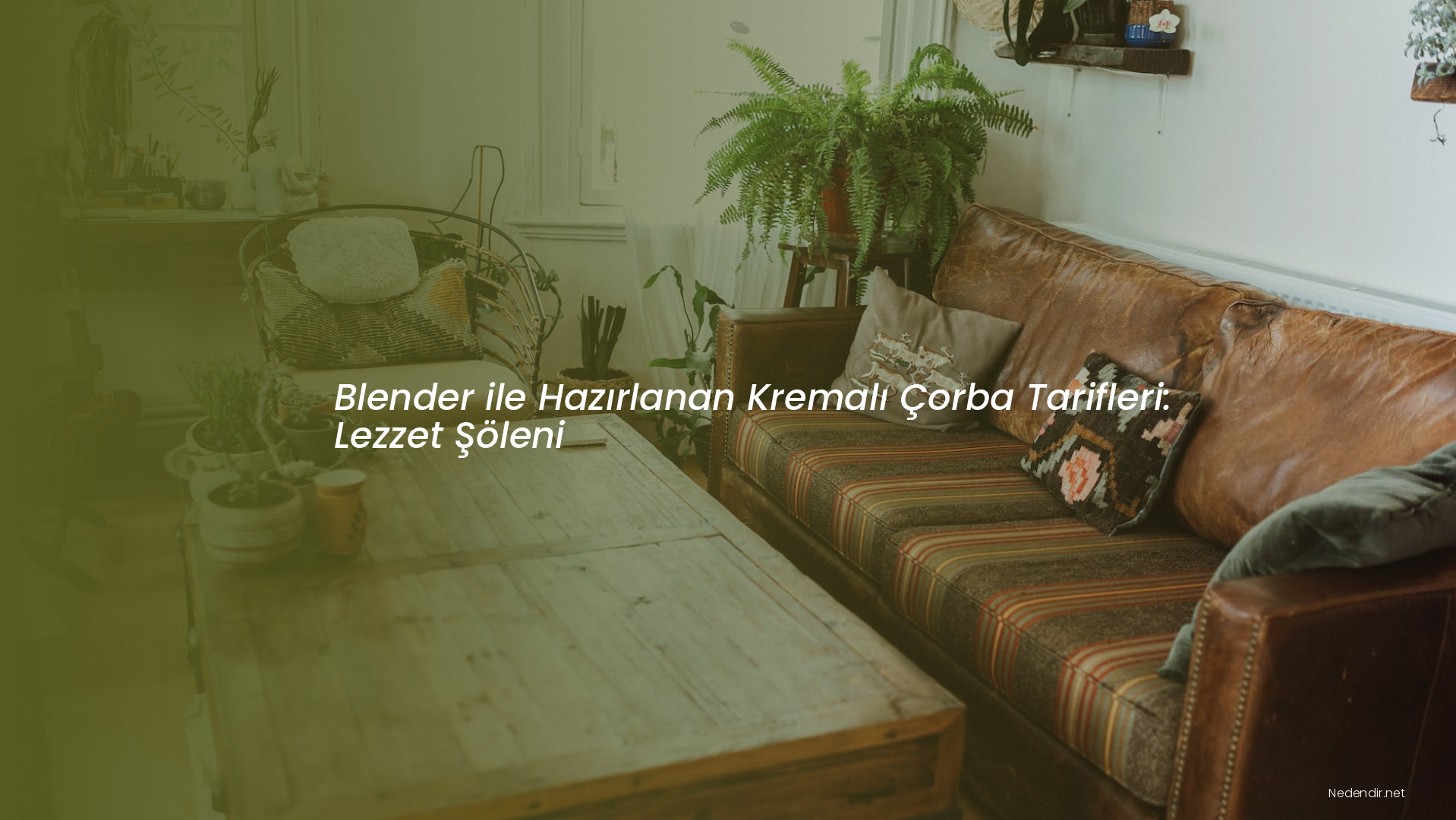 Blender ile Hazırlanan Kremalı Çorba Tarifleri: Lezzet Şöleni