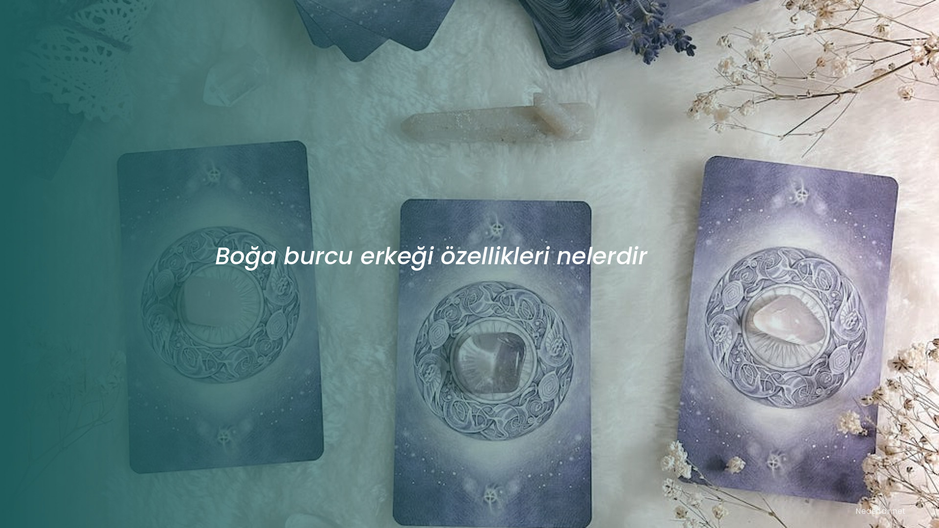 Boğa burcu erkeği özellikleri nelerdir Boğa burcu erkeği özellikleri nelerdir