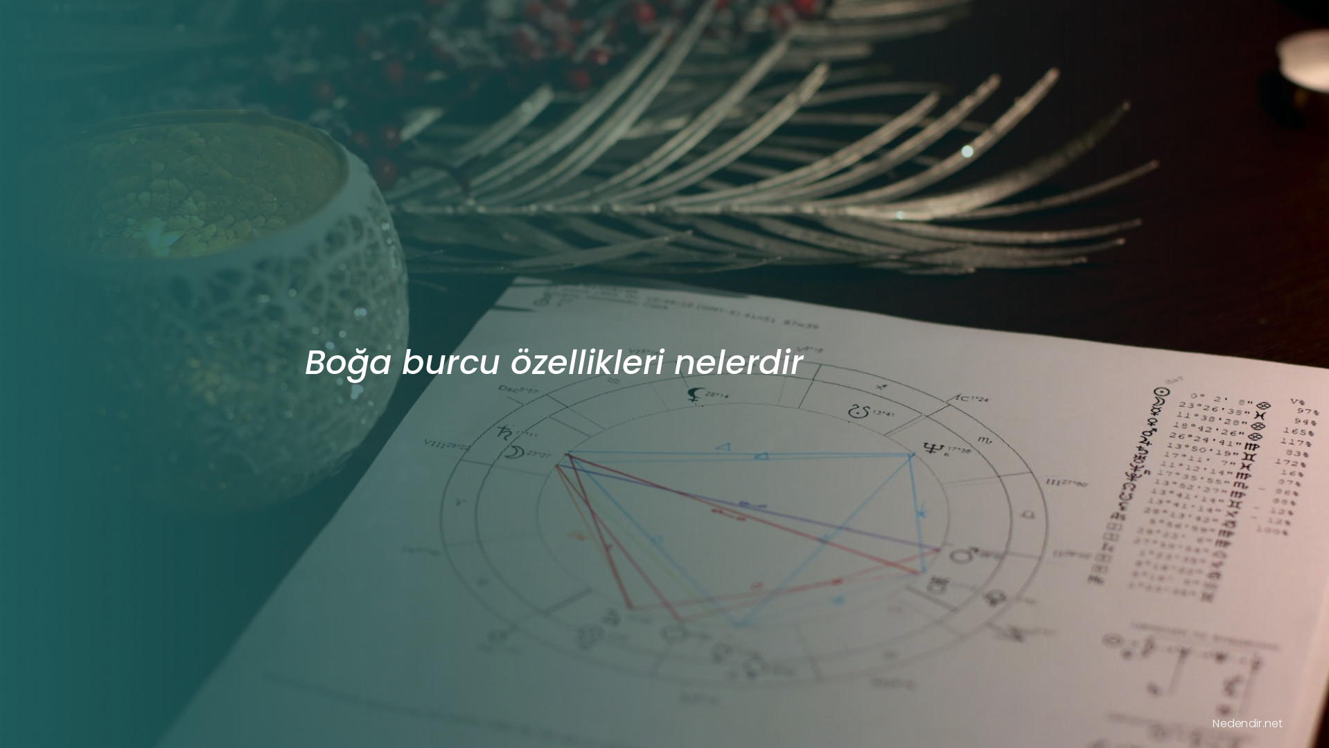 Boğa burcu özellikleri nelerdir Boğa burcu özellikleri nelerdir