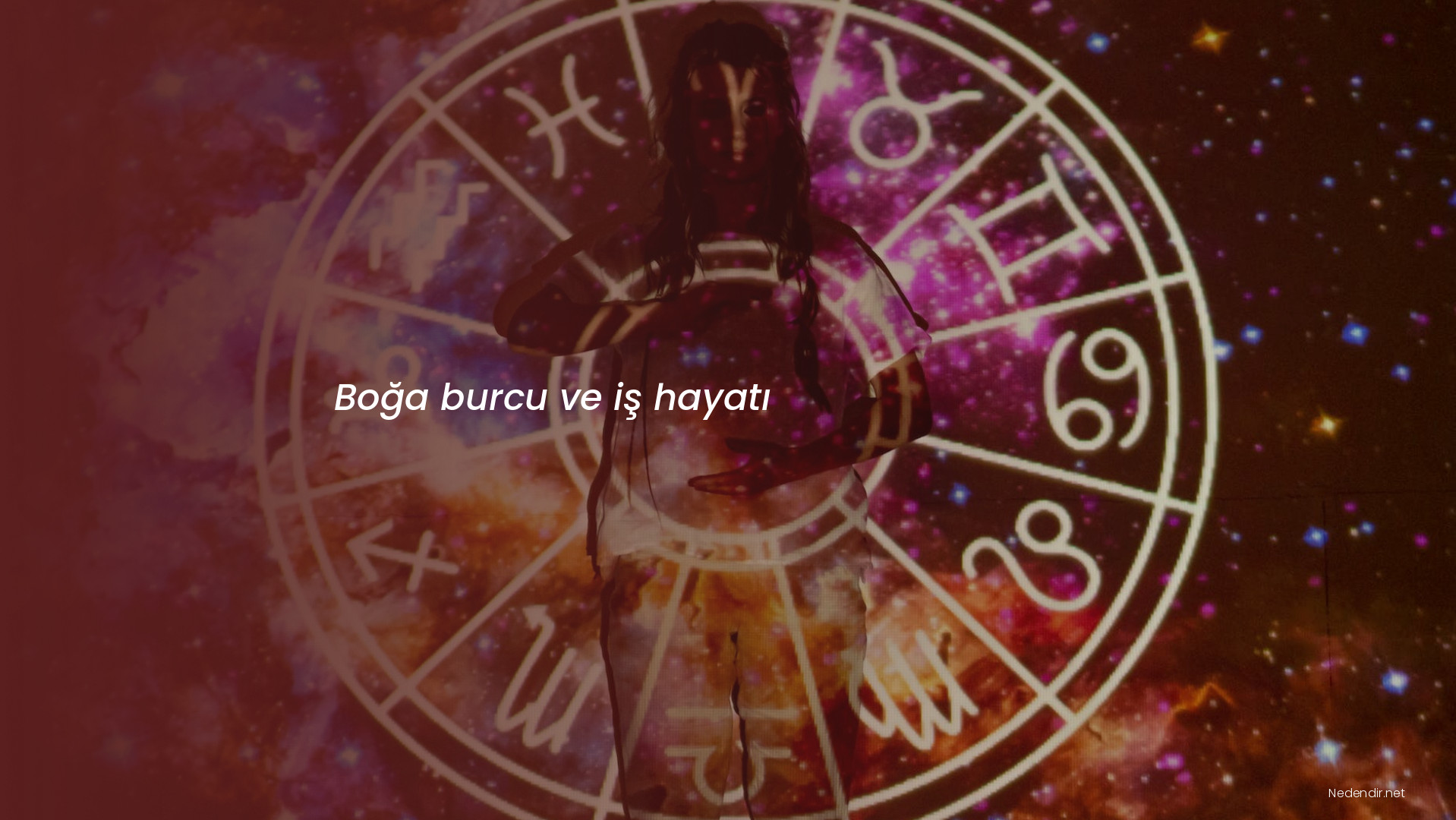 Boğa burcu ve iş hayatı Boğa burcu ve iş hayatı