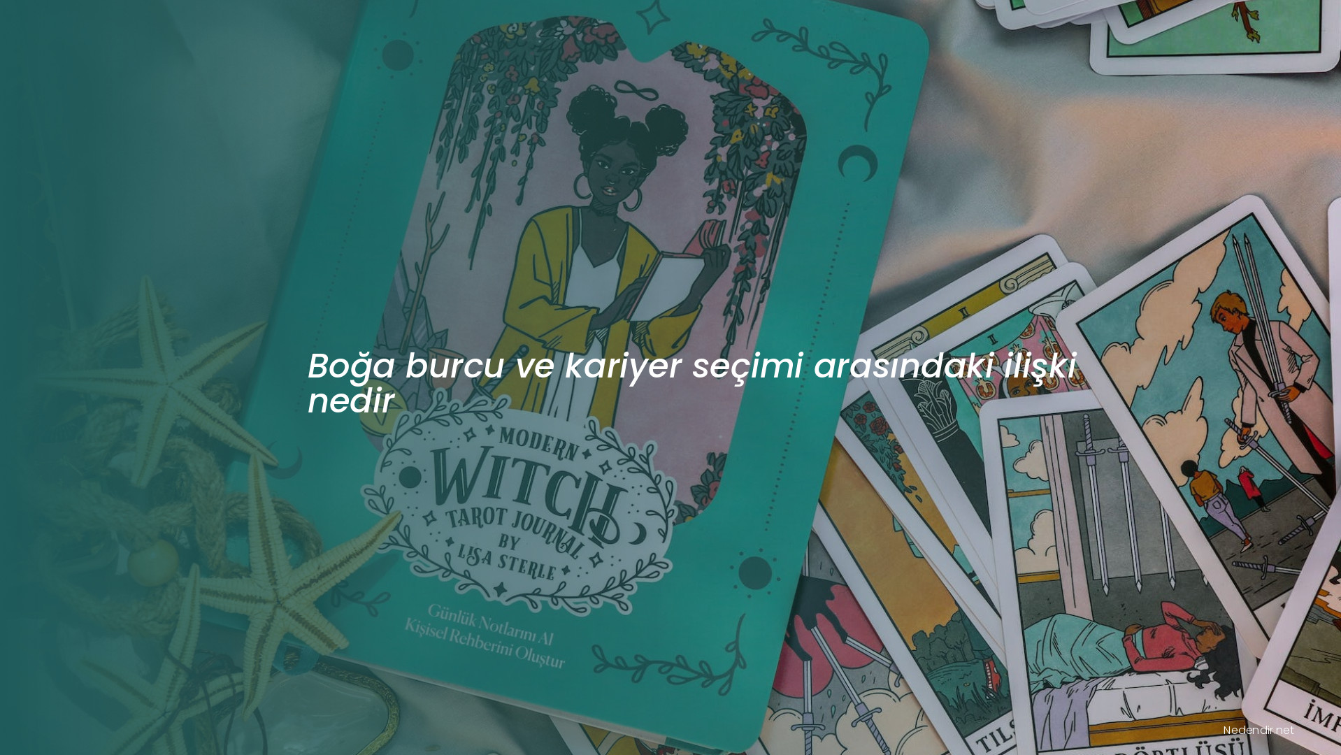 Boğa burcu ve kariyer seçimi arasındaki ilişki nedir Boğa burcu ve kariyer seçimi arasındaki ilişki nedir
