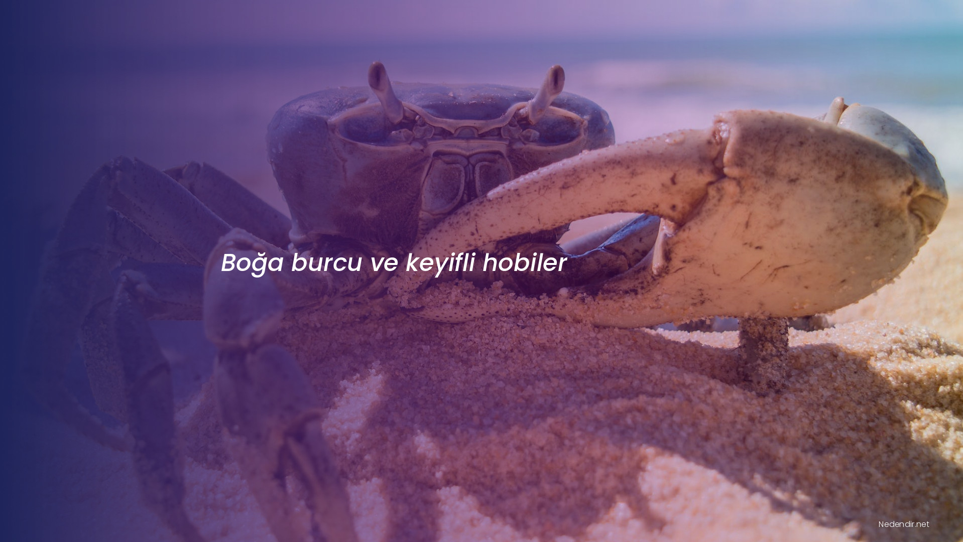 Boğa burcu ve keyifli hobiler