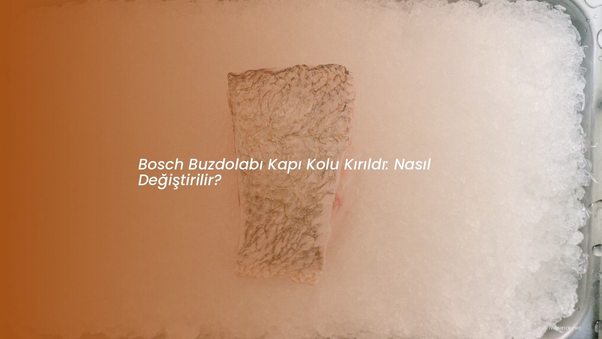 Bosch Buzdolabı Kapı Kolu Kırıldı: Nasıl Değiştirilir?