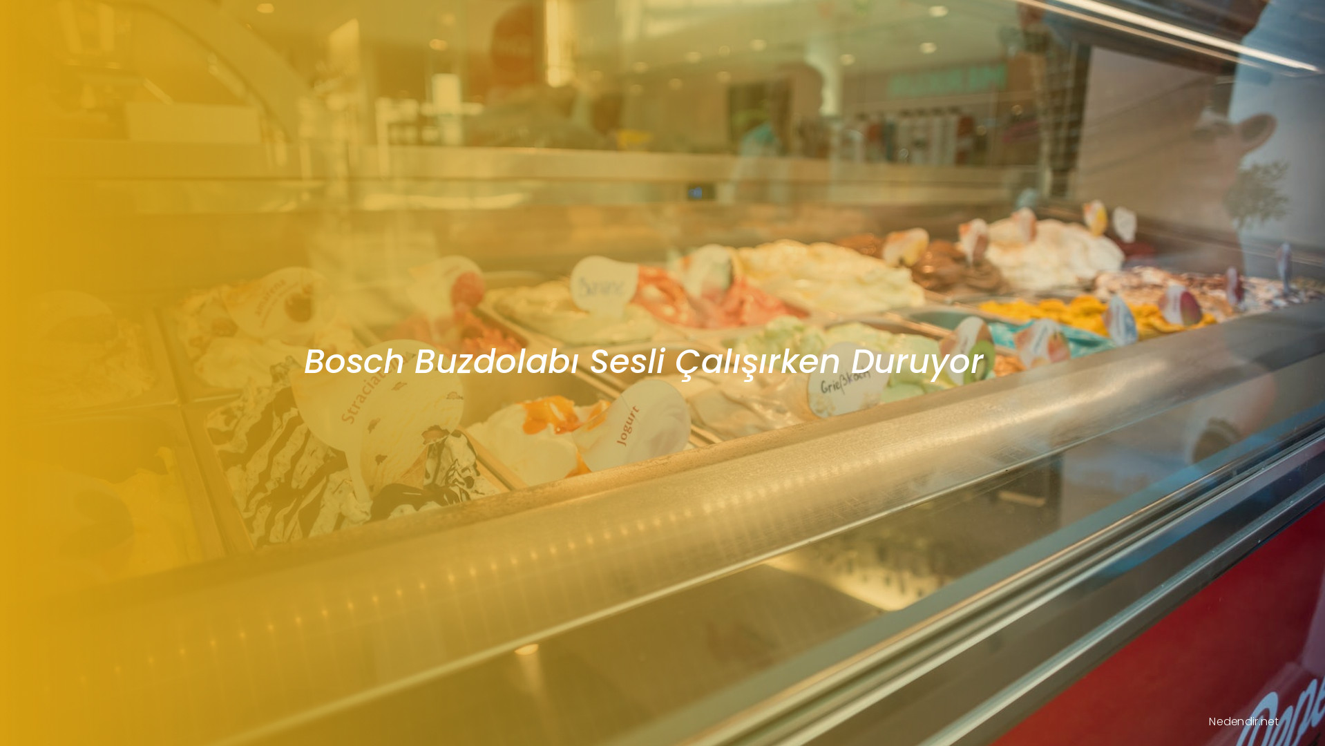 Bosch Buzdolabı Sesli Çalışırken Duruyor