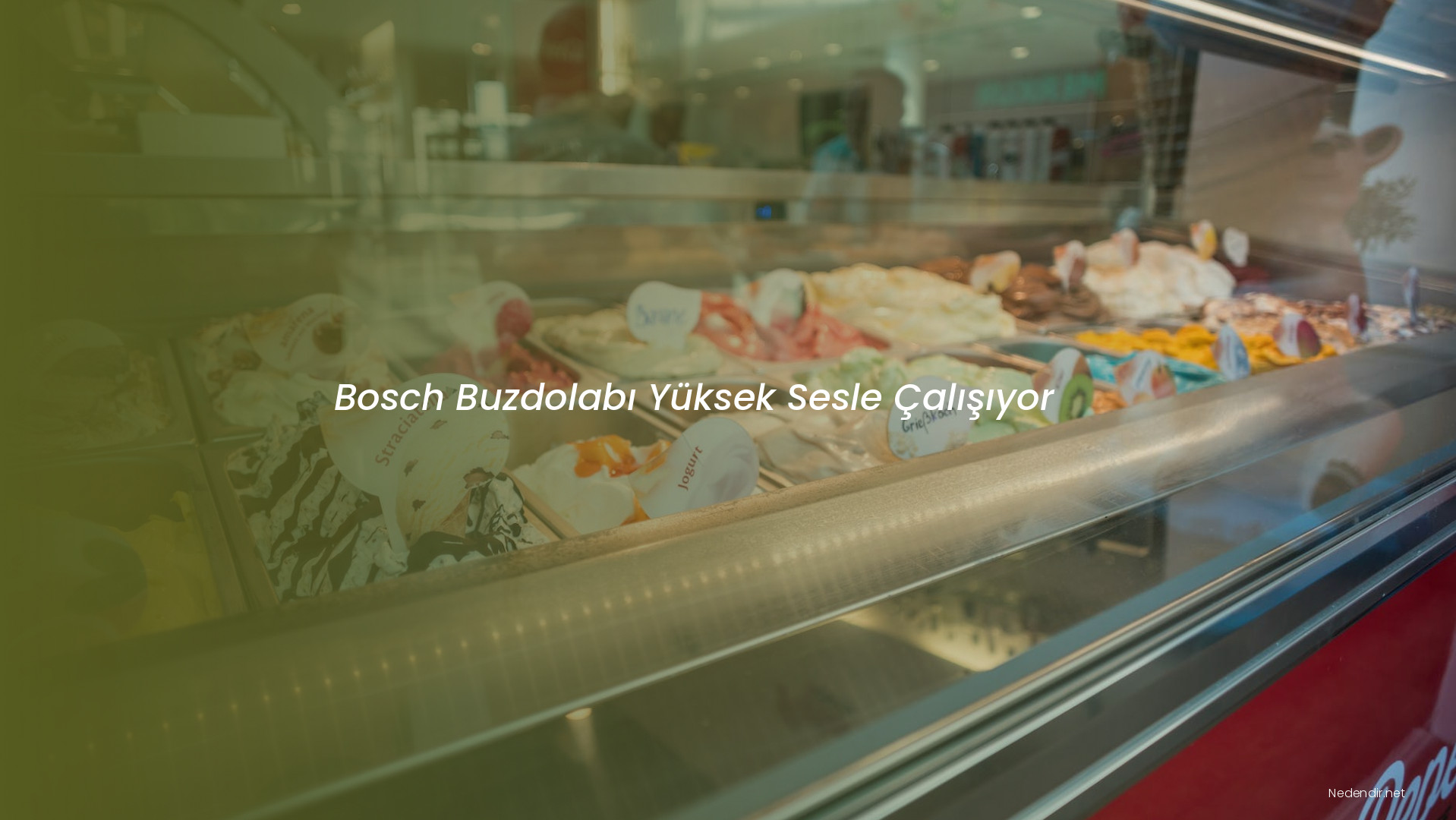Bosch Buzdolabı Yüksek Sesle Çalışıyor
