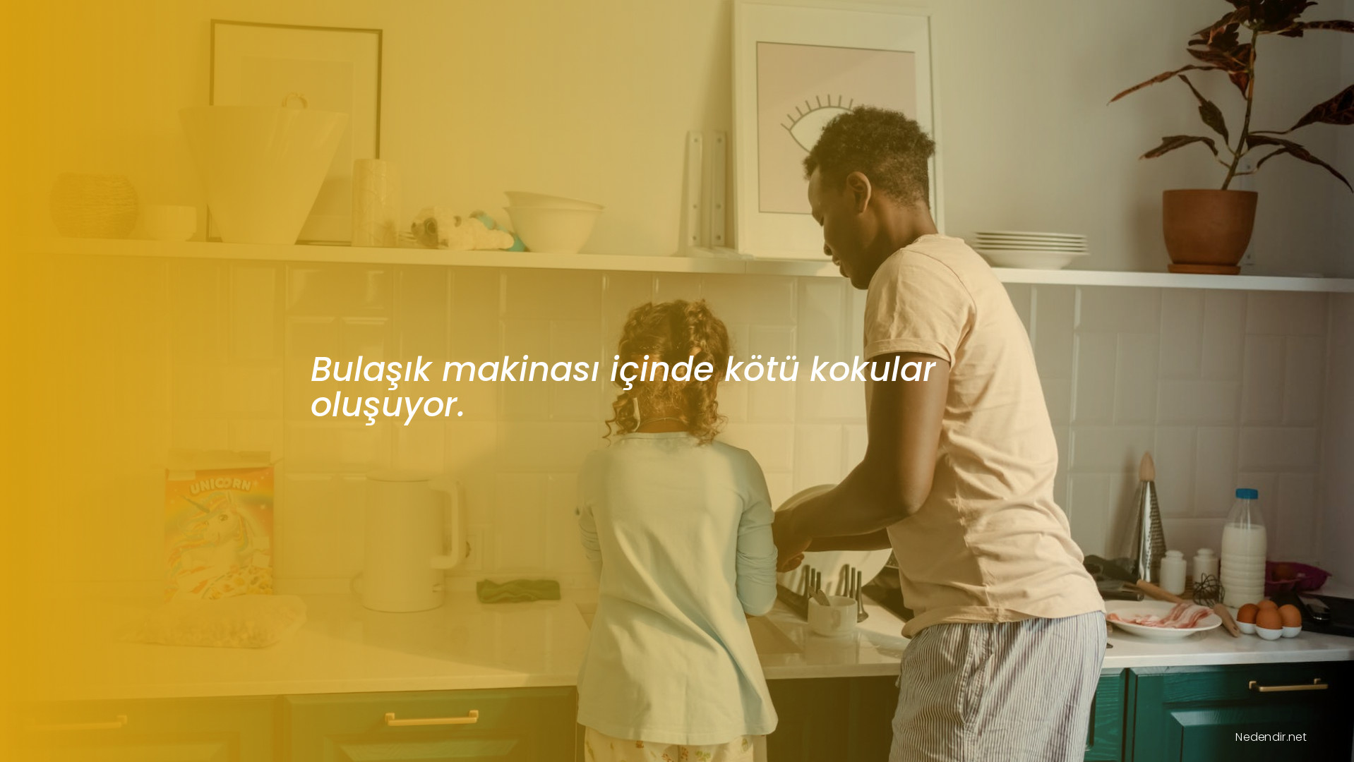 Bulaşık makinası içinde kötü kokular oluşuyor.