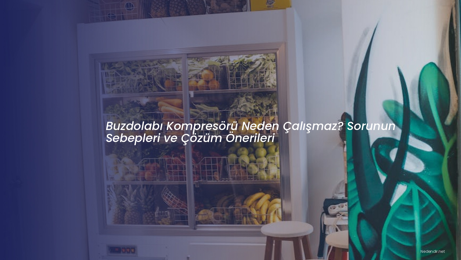 Buzdolabı Kompresörü Neden Çalışmaz? Sorunun Sebepleri ve Çözüm Önerileri