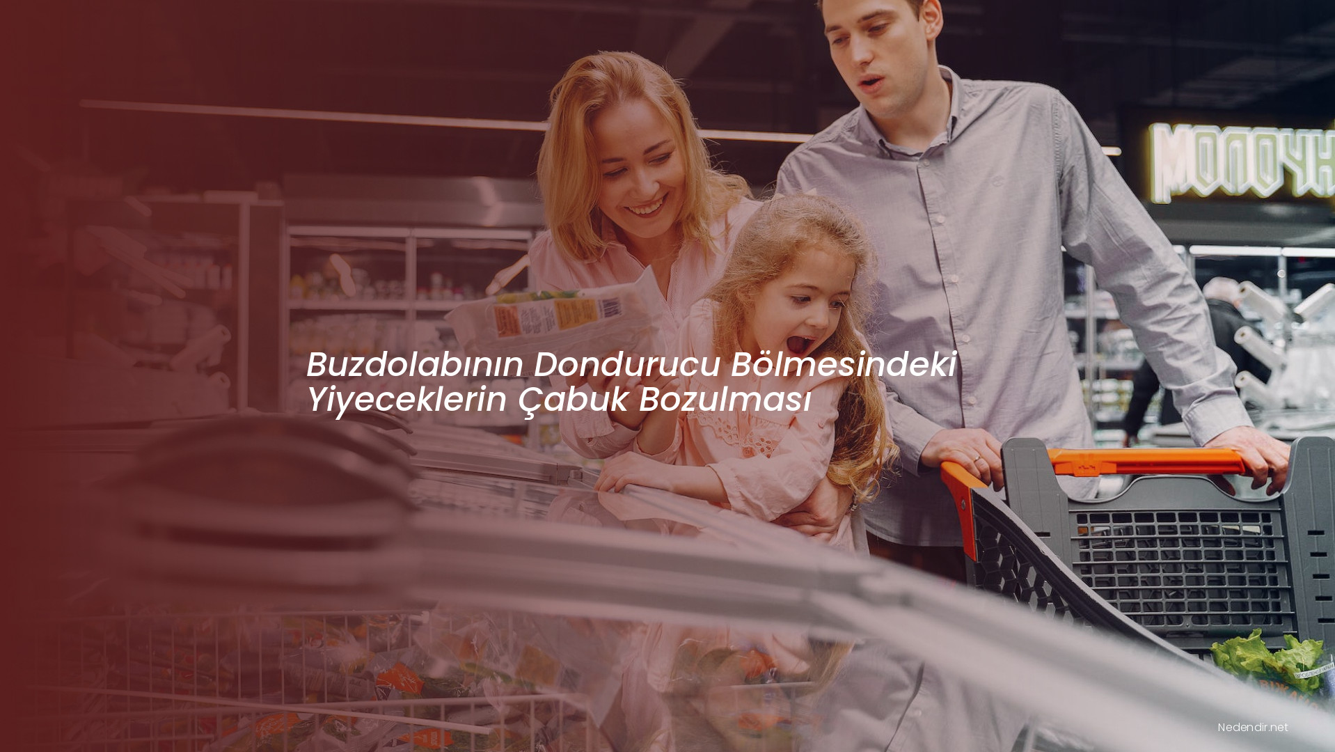 Buzdolabının Dondurucu Bölmesindeki Yiyeceklerin Çabuk Bozulması