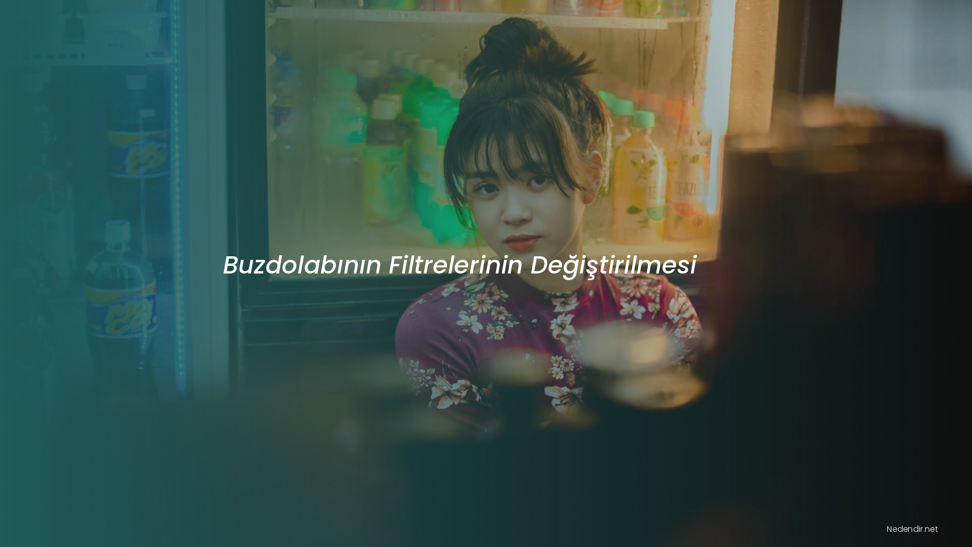 Buzdolabının Filtrelerinin Değiştirilmesi