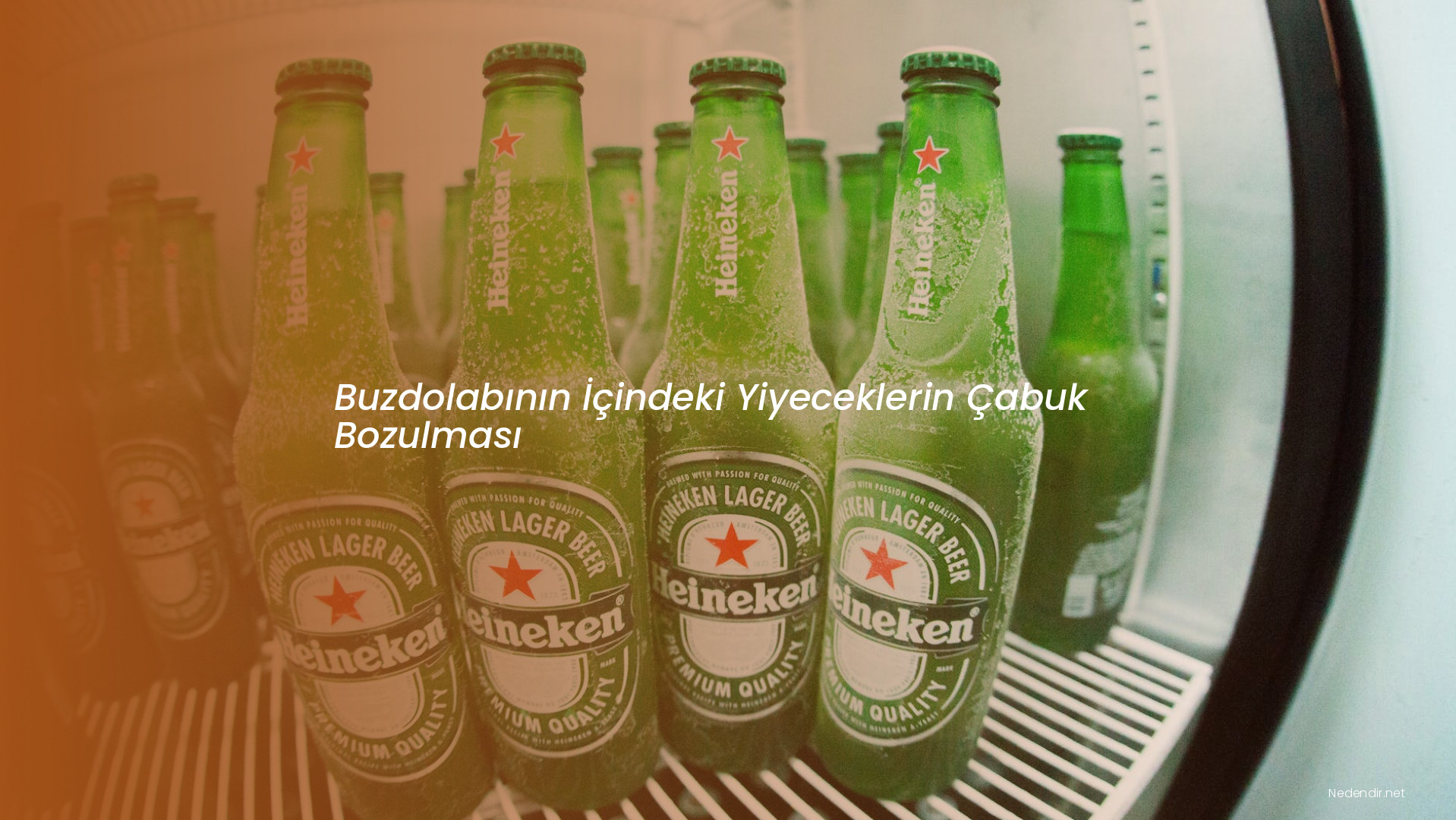 Buzdolabının İçindeki Yiyeceklerin Çabuk Bozulması