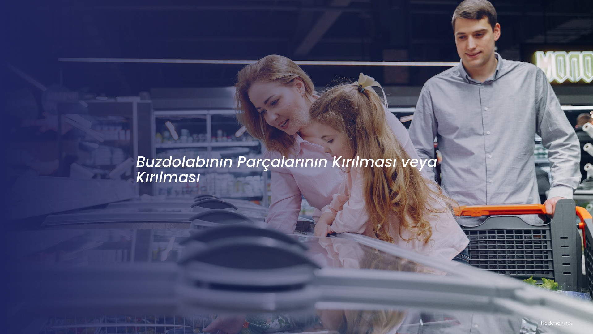 Buzdolabının Parçalarının Kırılması veya Kırılması