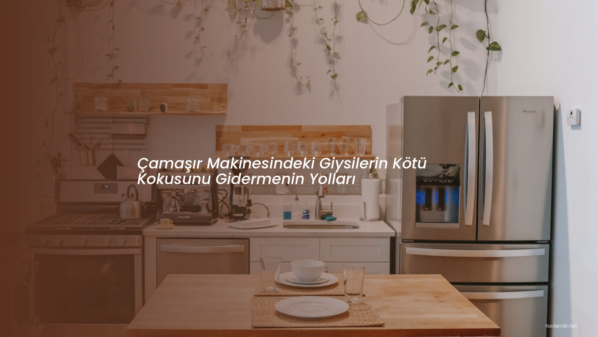 Çamaşır Makinesindeki Giysilerin Kötü Kokusunu Gidermenin Yolları