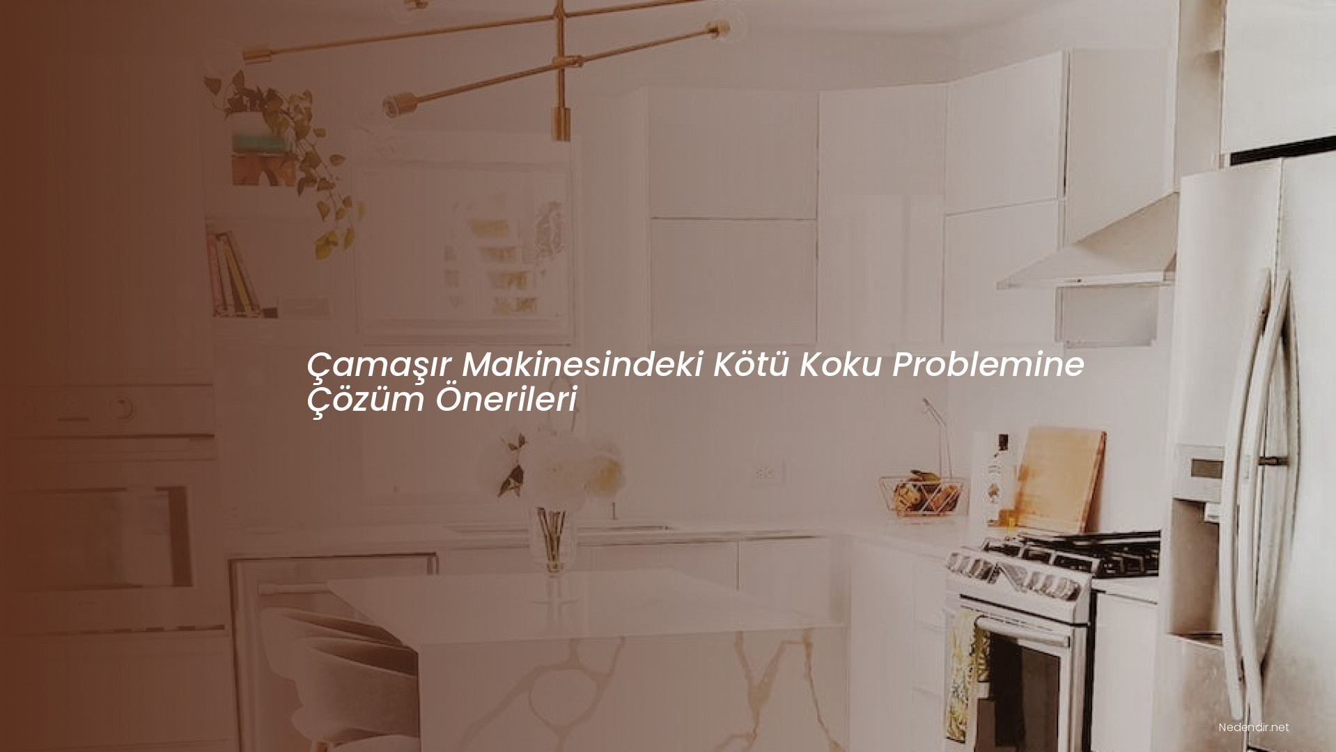 Çamaşır Makinesindeki Kötü Koku Problemine Çözüm Önerileri