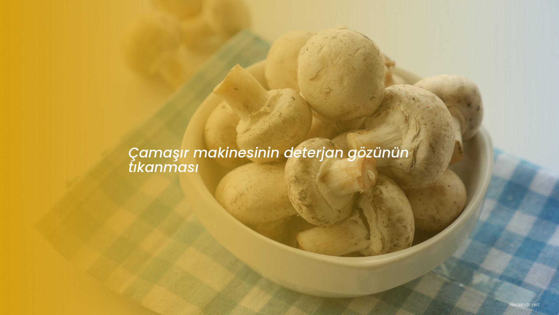 Çamaşır makinesinin deterjan gözünün tıkanması