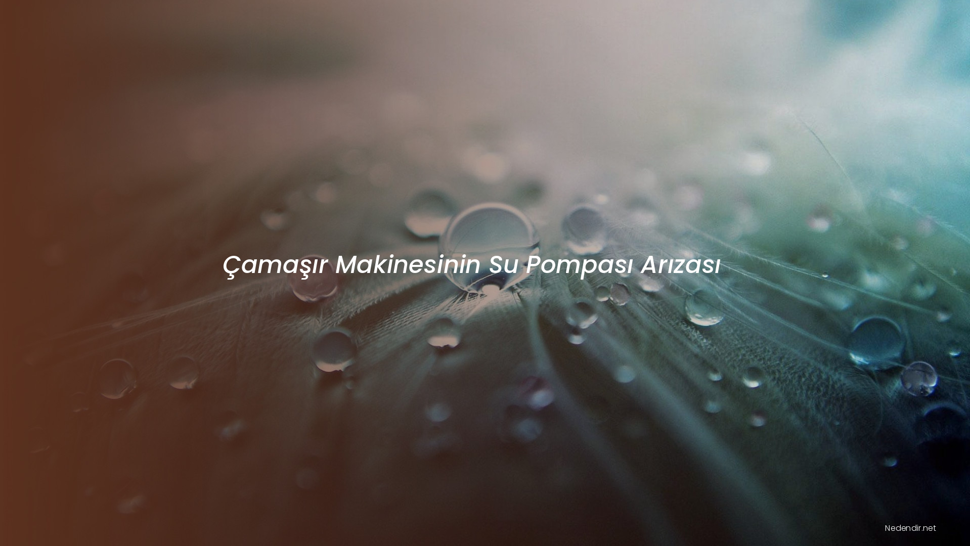 Çamaşır Makinesinin Su Pompası Arızası