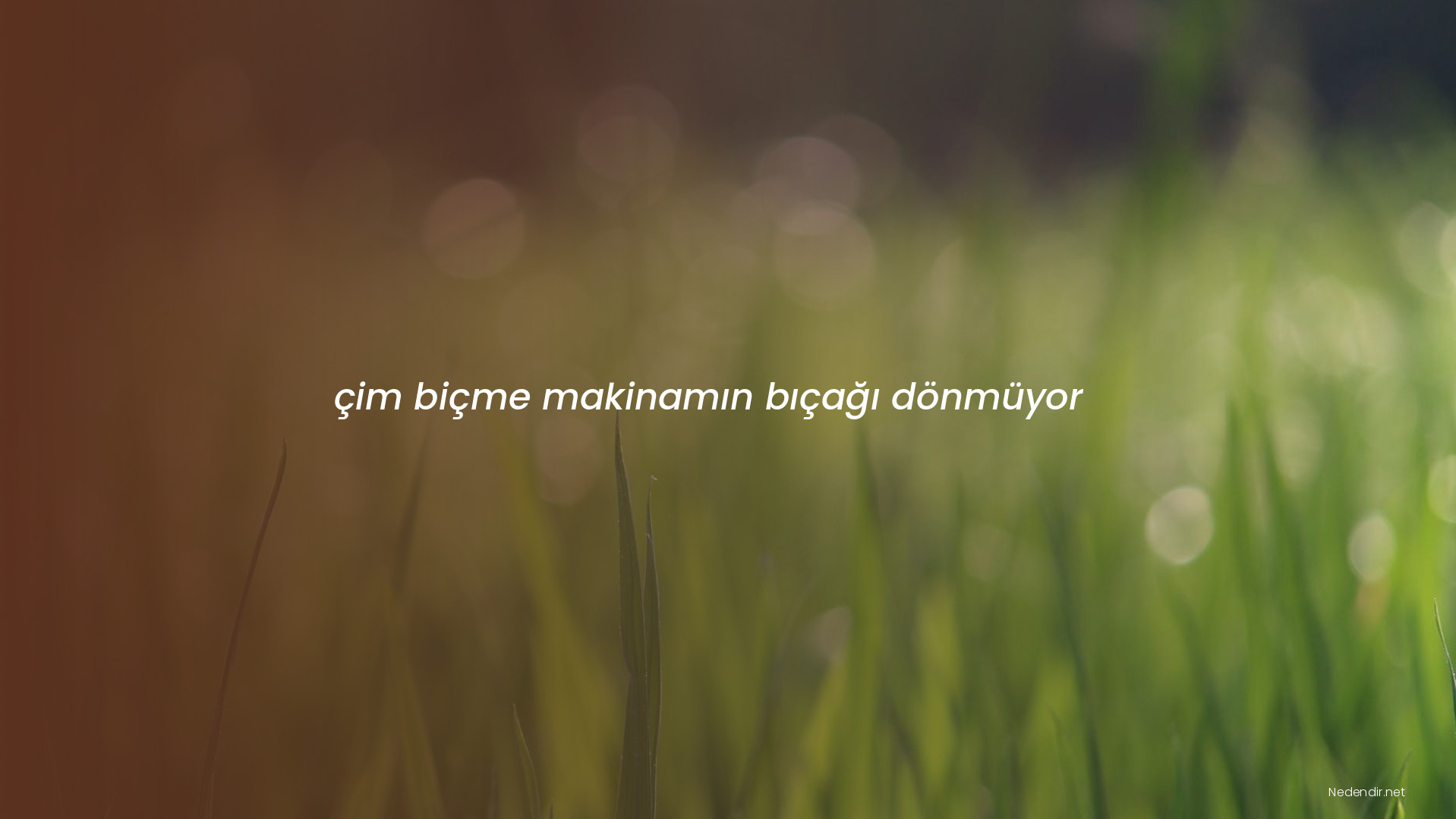çim biçme makinamın bıçağı dönmüyor çim biçme makinamın bıçağı dönmüyor