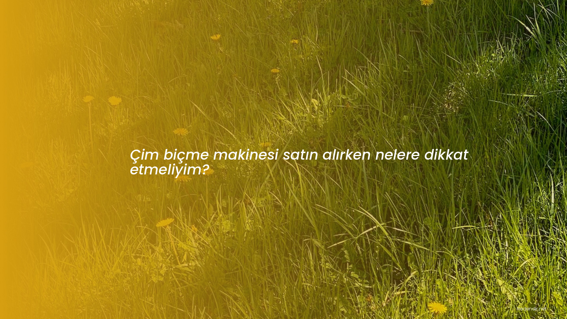 Çim biçme makinesi satın alırken nelere dikkat etmeliyim?