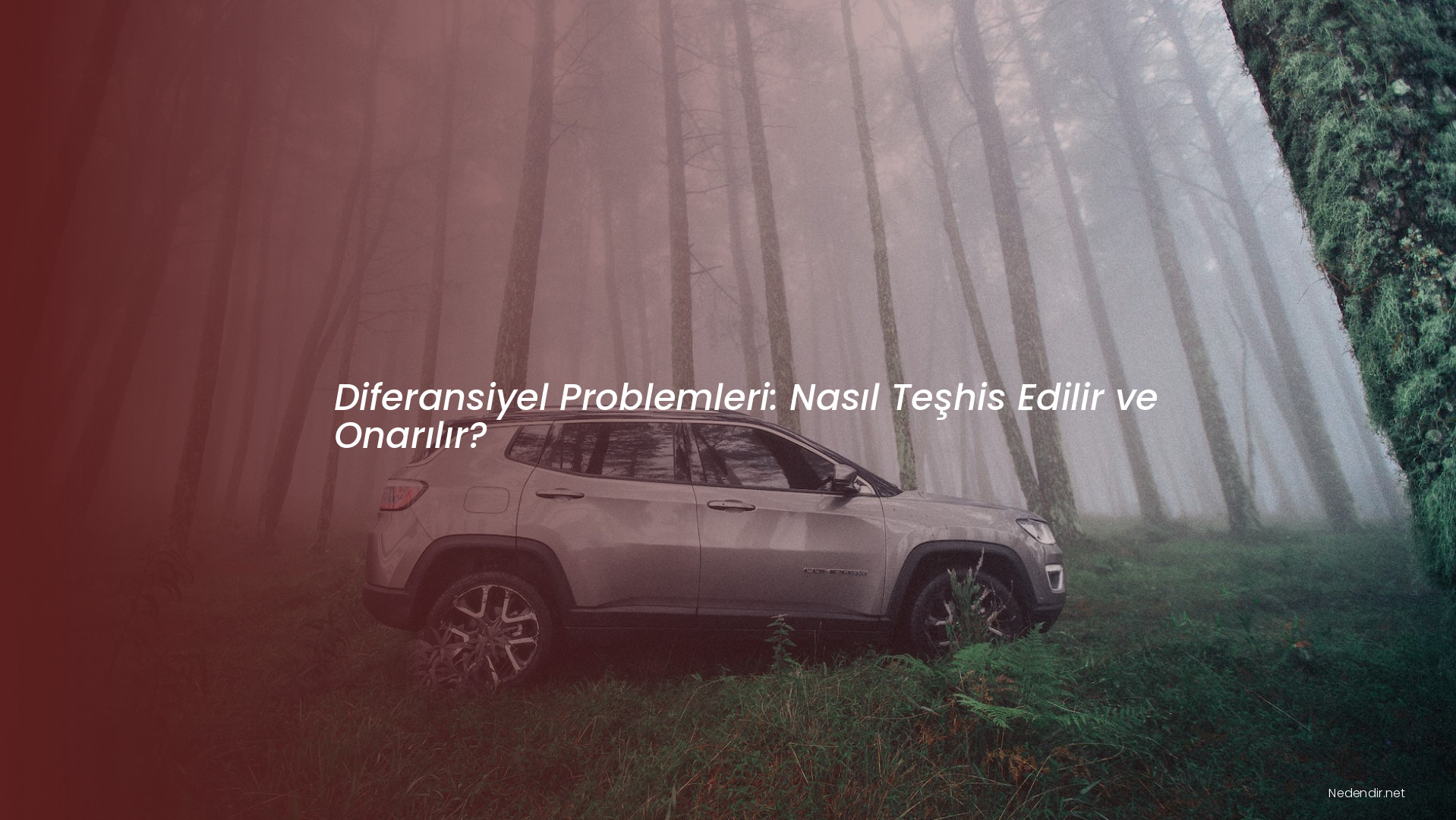 Diferansiyel Problemleri: Nasıl Teşhis Edilir ve Onarılır?