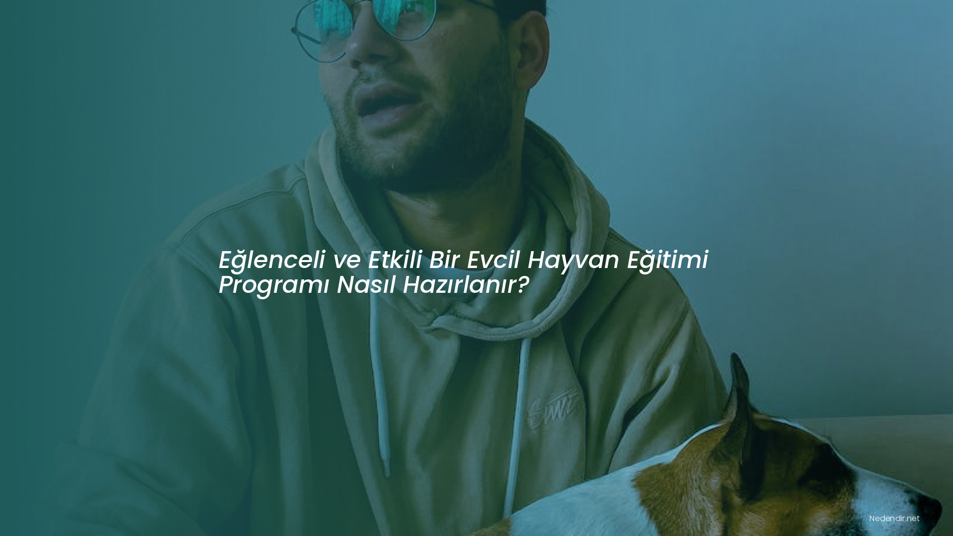 Eğlenceli ve Etkili Bir Evcil Hayvan Eğitimi Programı Nasıl Hazırlanır?