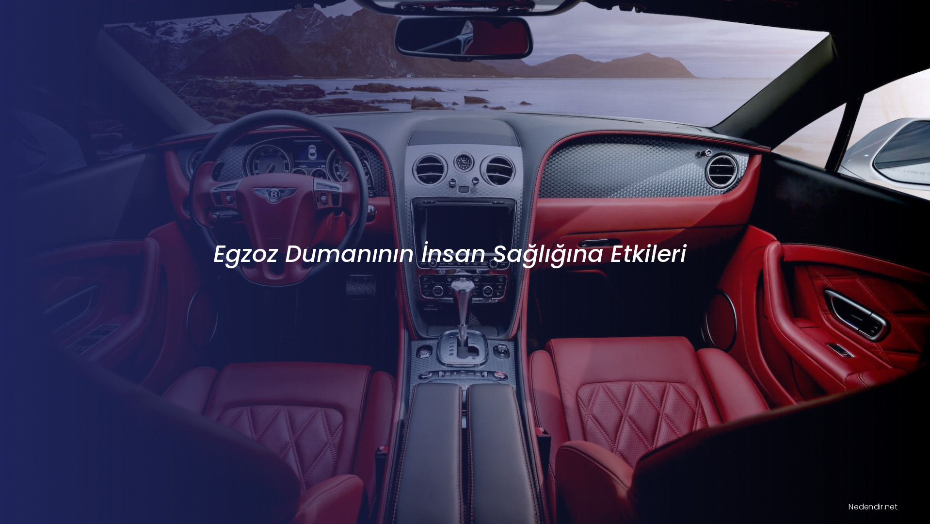 Egzoz Dumanının İnsan Sağlığına Etkileri