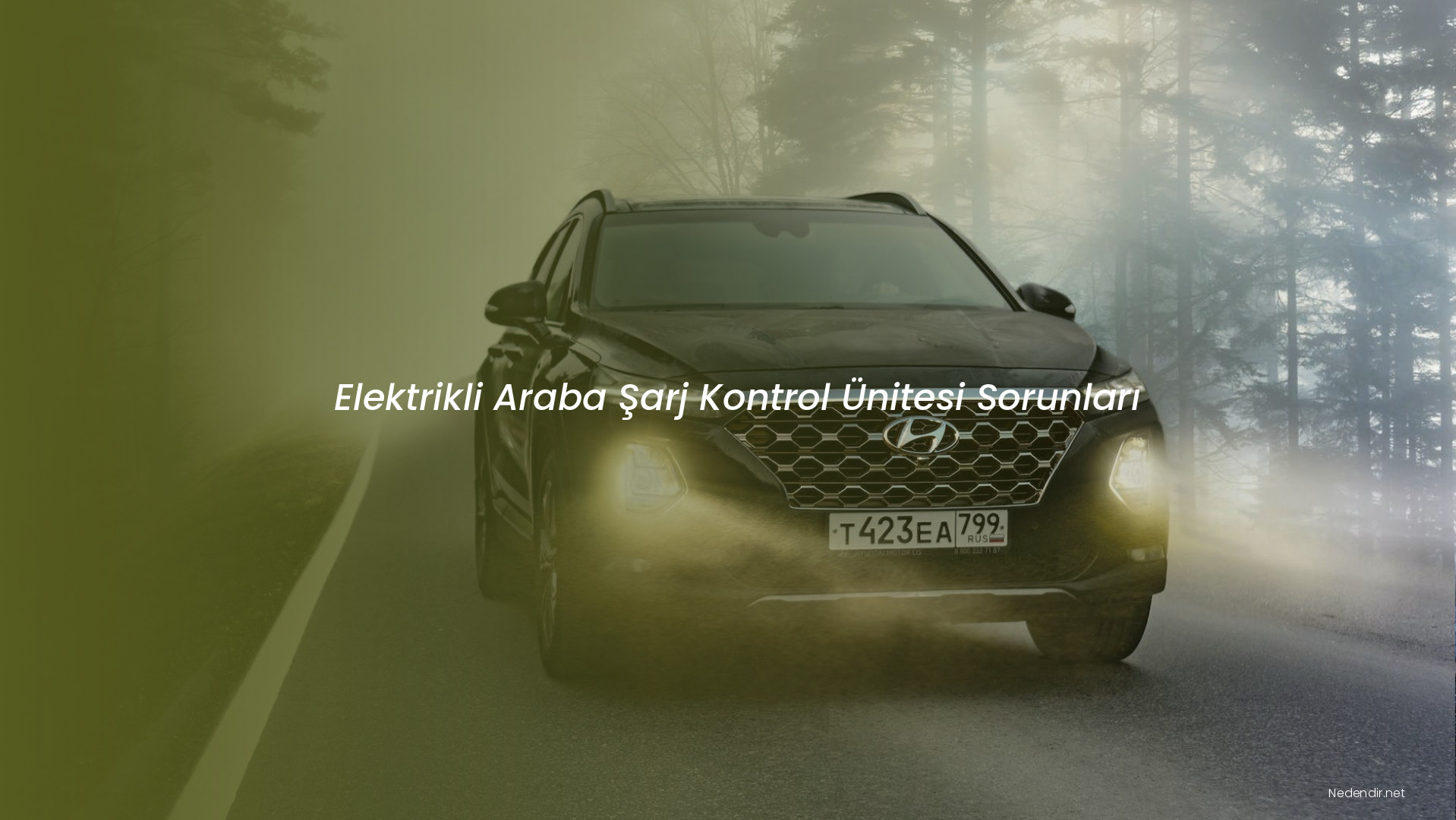 Elektrikli Araba Şarj Kontrol Ünitesi Sorunları Elektrikli Araba Şarj Kontrol Ünitesi Sorunları