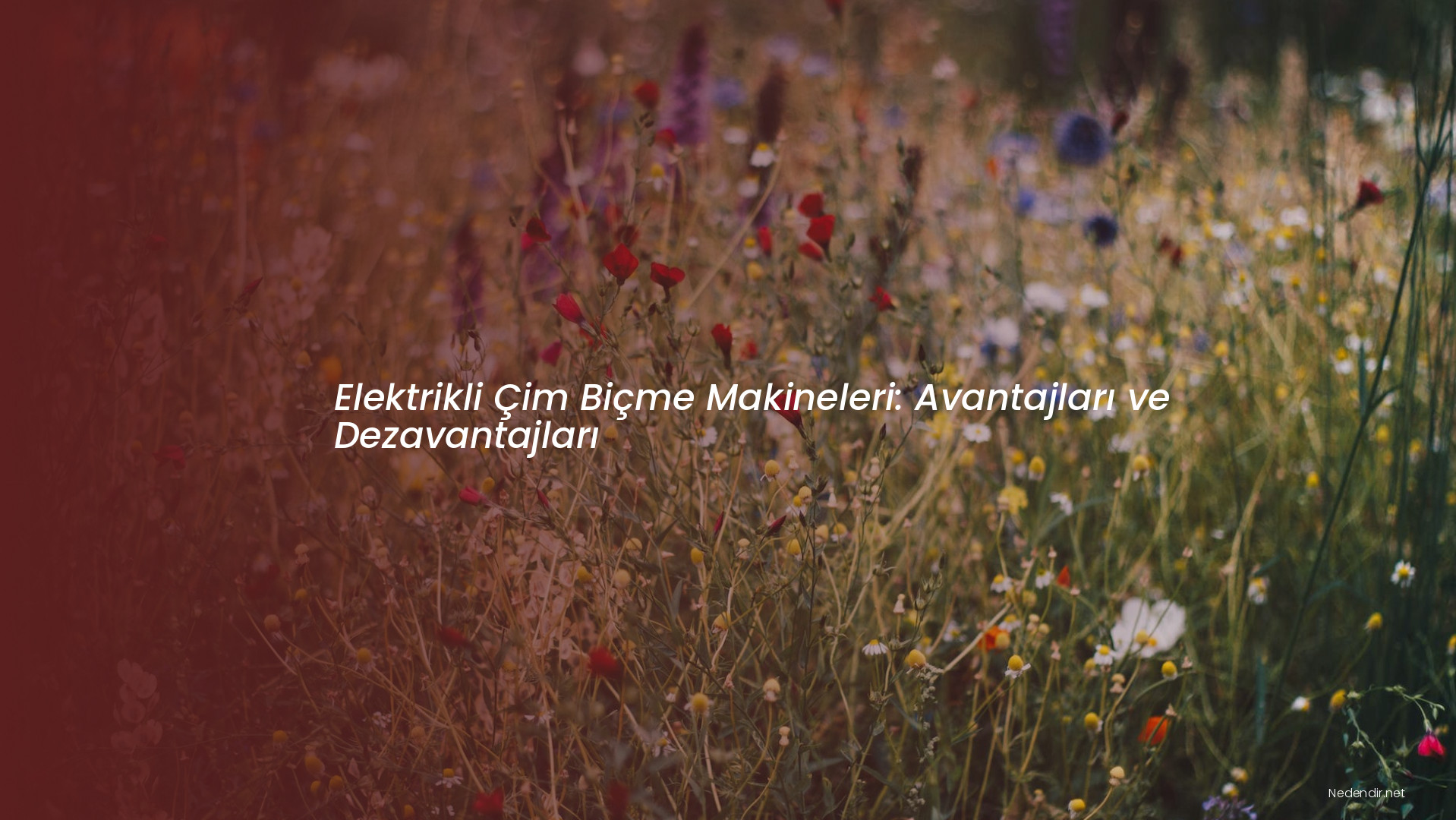 Elektrikli Çim Biçme Makineleri: Avantajları ve Dezavantajları