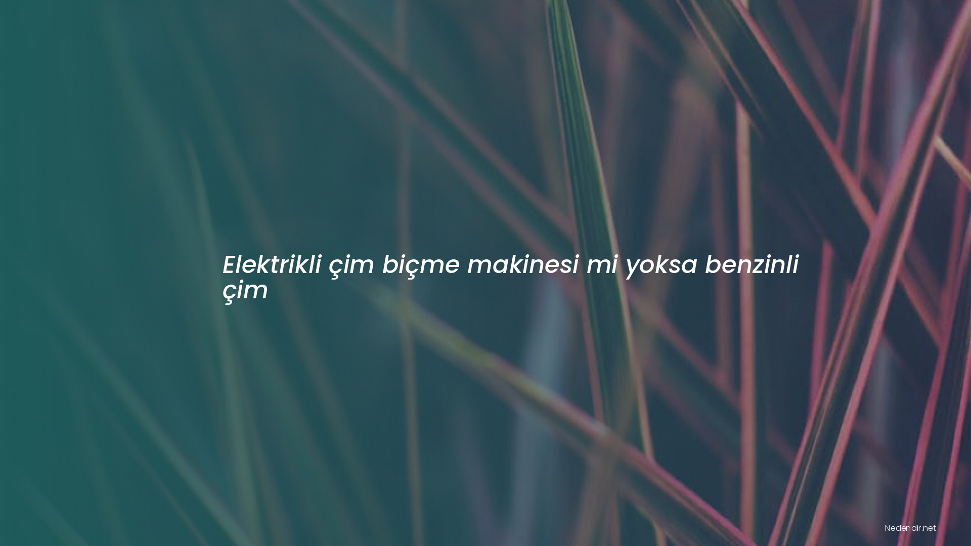 Elektrikli çim biçme makinesi mi yoksa benzinli çim