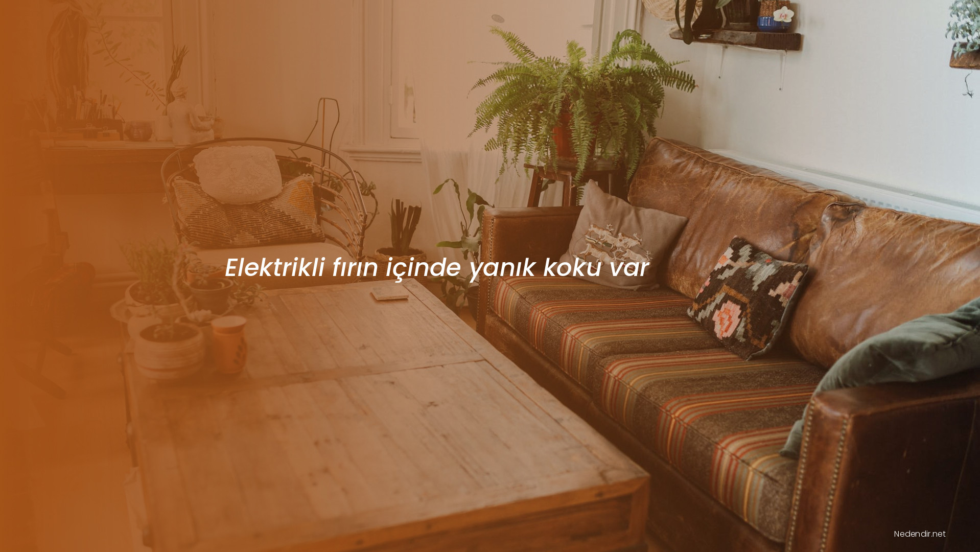 Elektrikli fırın içinde yanık koku var