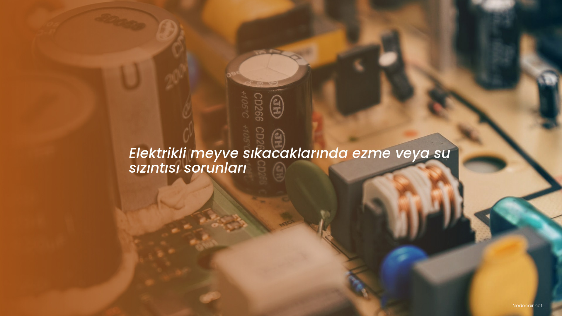 Elektrikli meyve sıkacaklarında ezme veya su sızıntısı sorunları