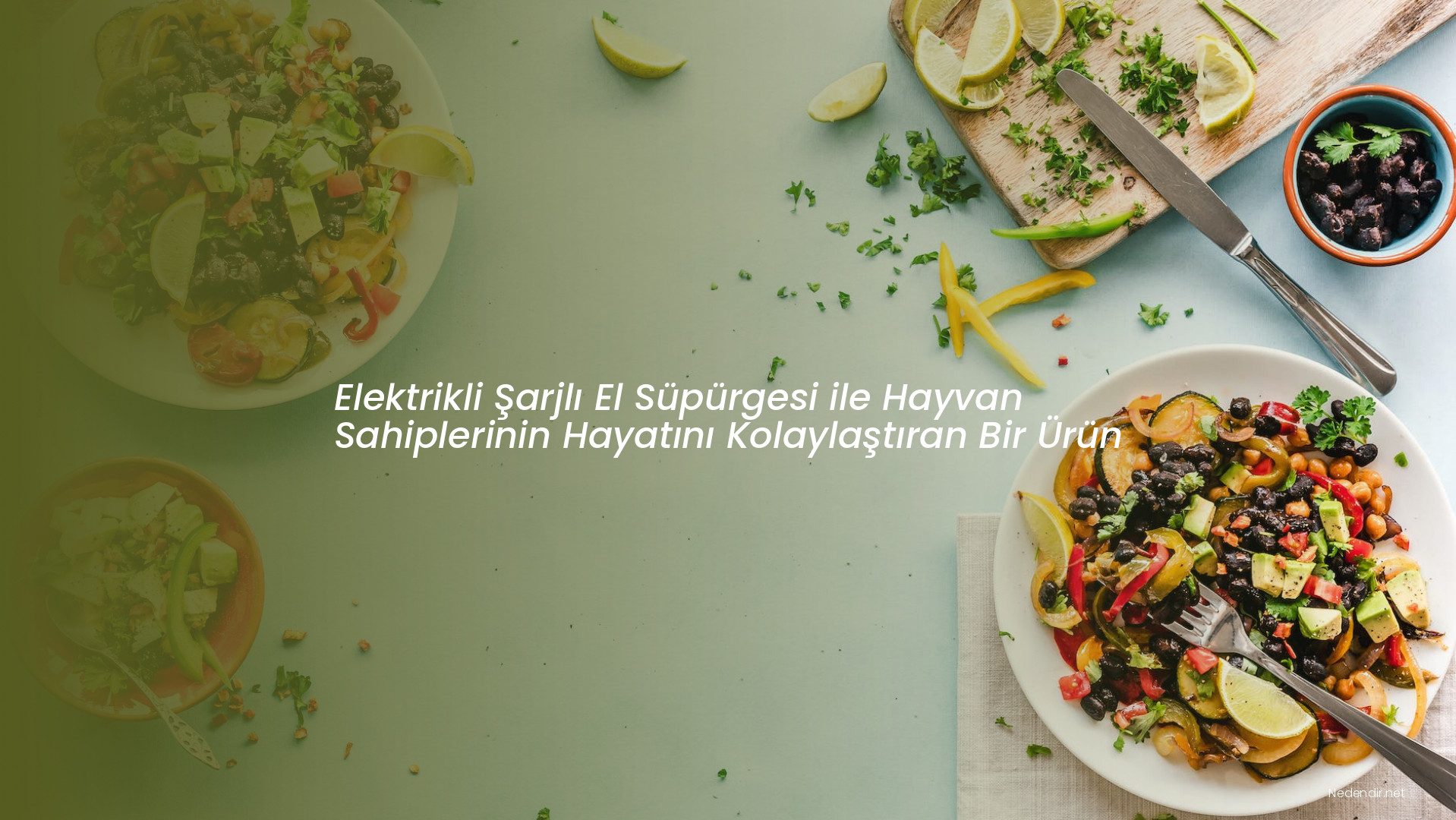 Elektrikli Şarjlı El Süpürgesi ile Hayvan Sahiplerinin Hayatını Kolaylaştıran Bir Ürün