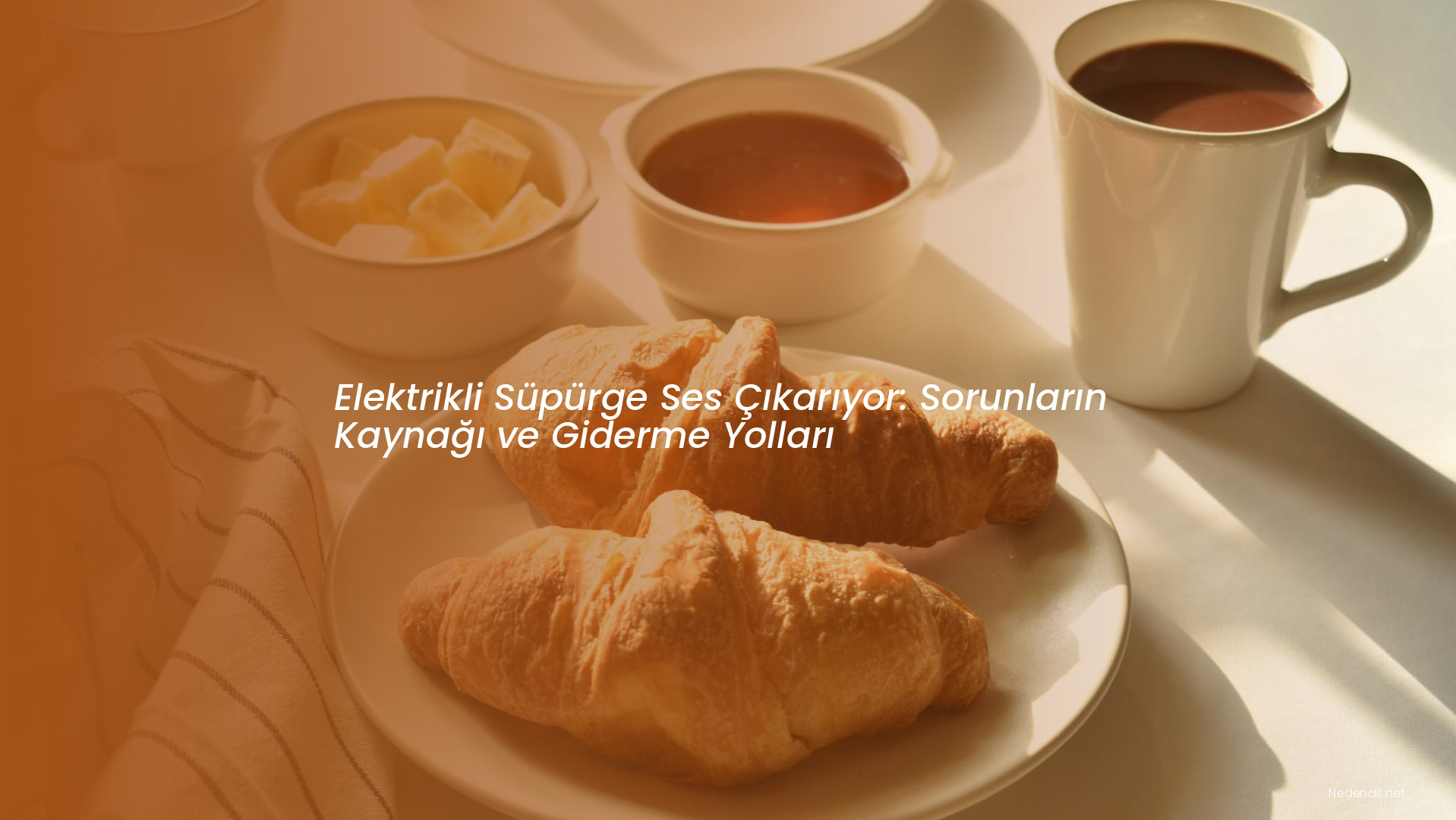 Elektrikli Süpürge Ses Çıkarıyor: Sorunların Kaynağı ve Giderme Yolları